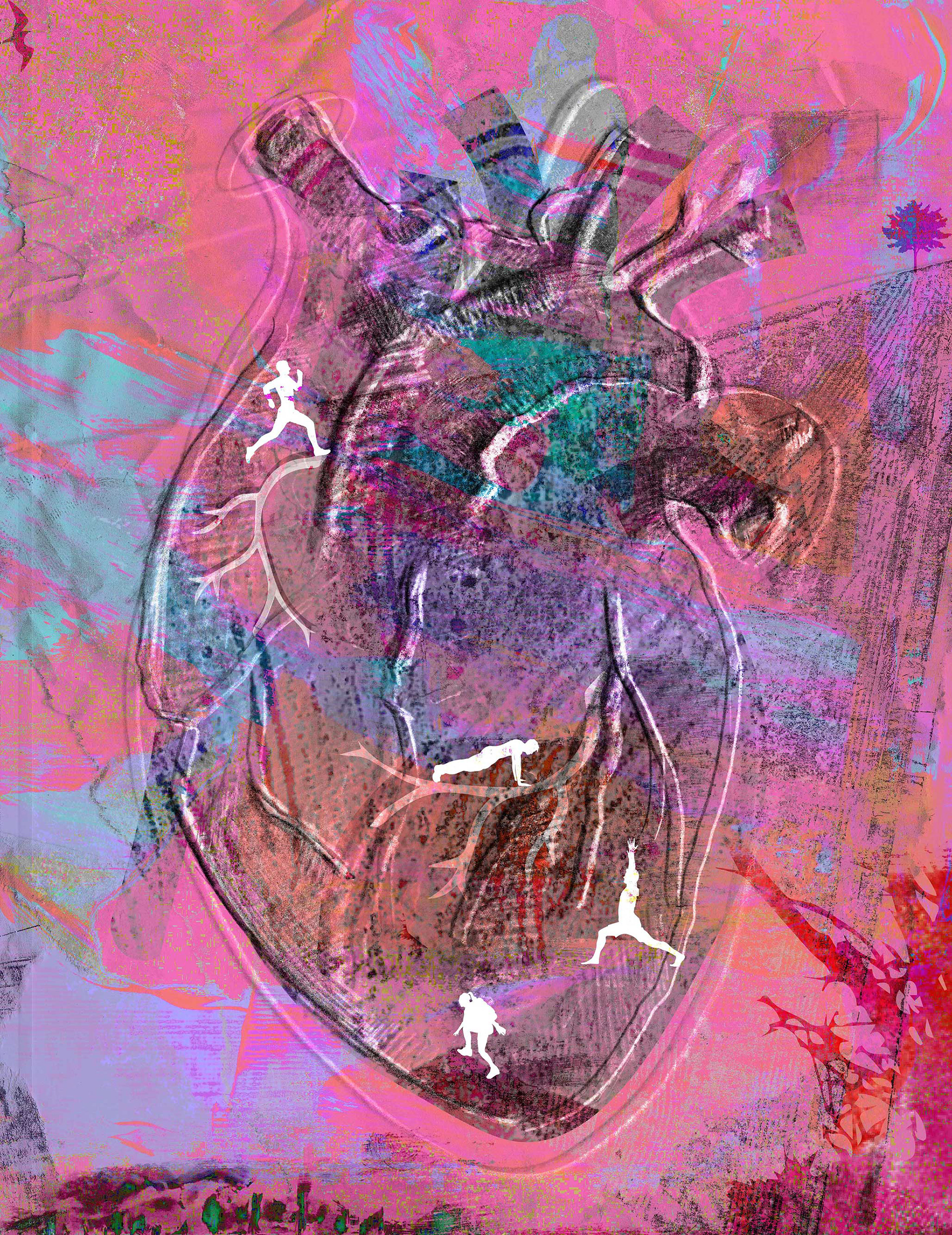 The Cardiovascular System Work Out