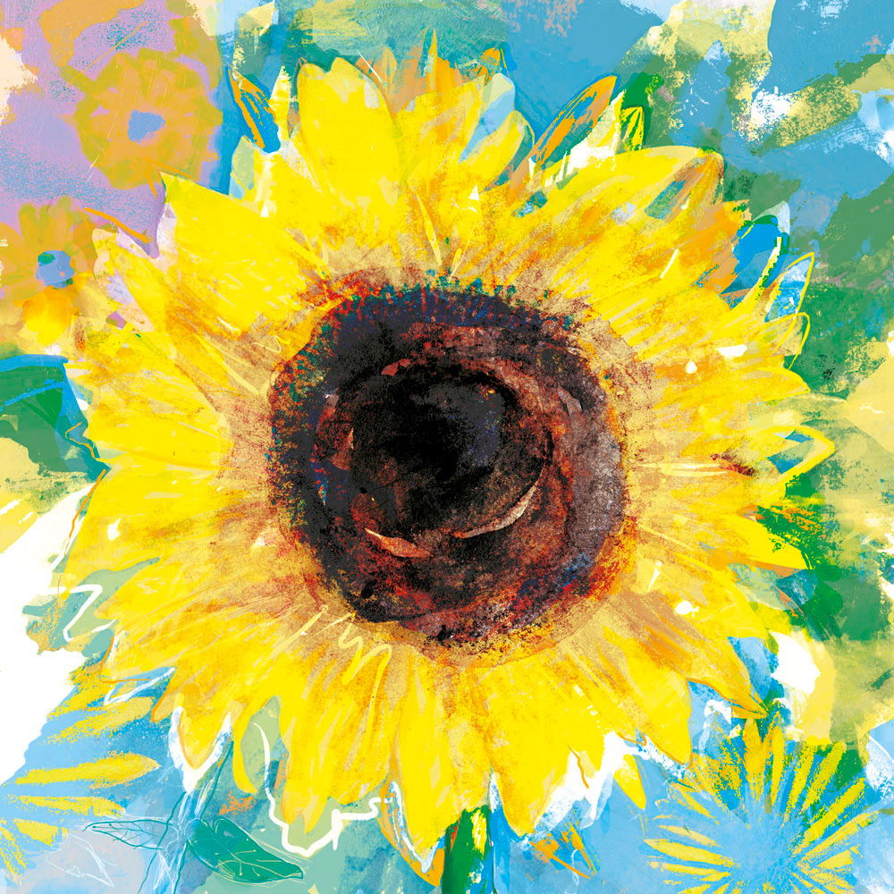 Sun's Serenade