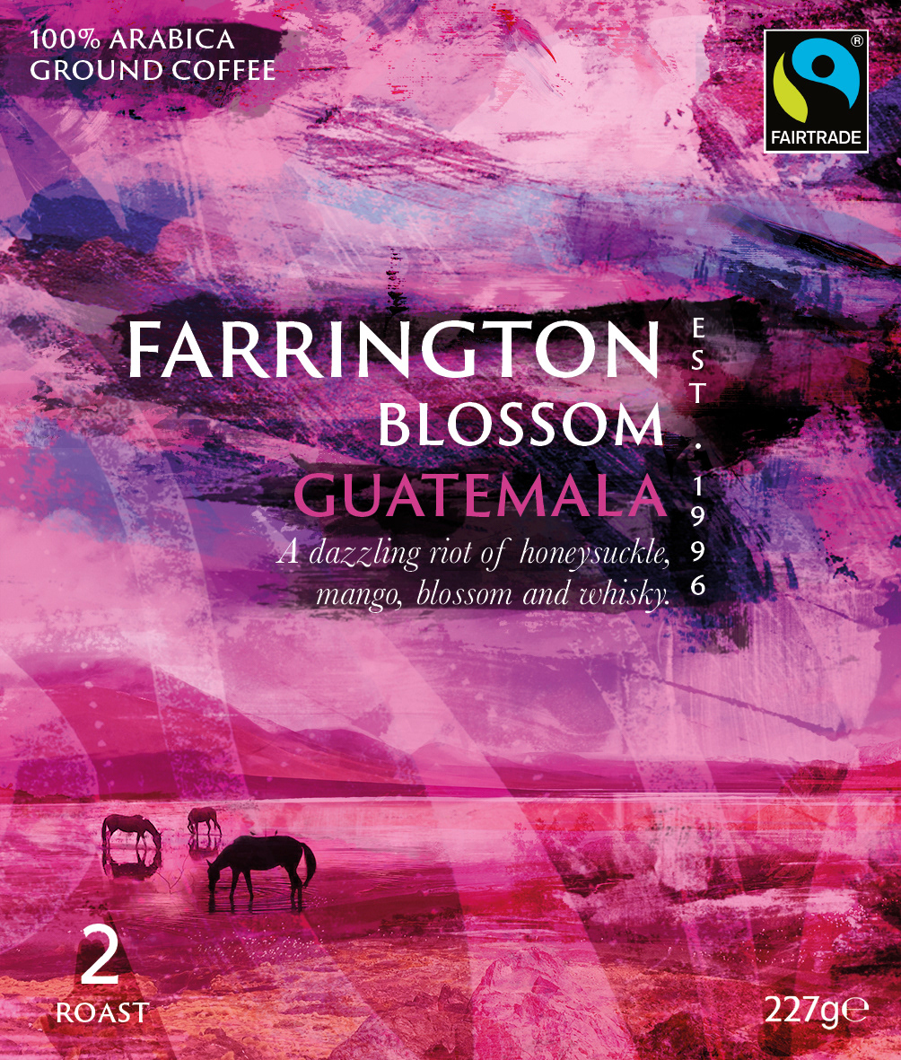 Blossom Guatemala Roast