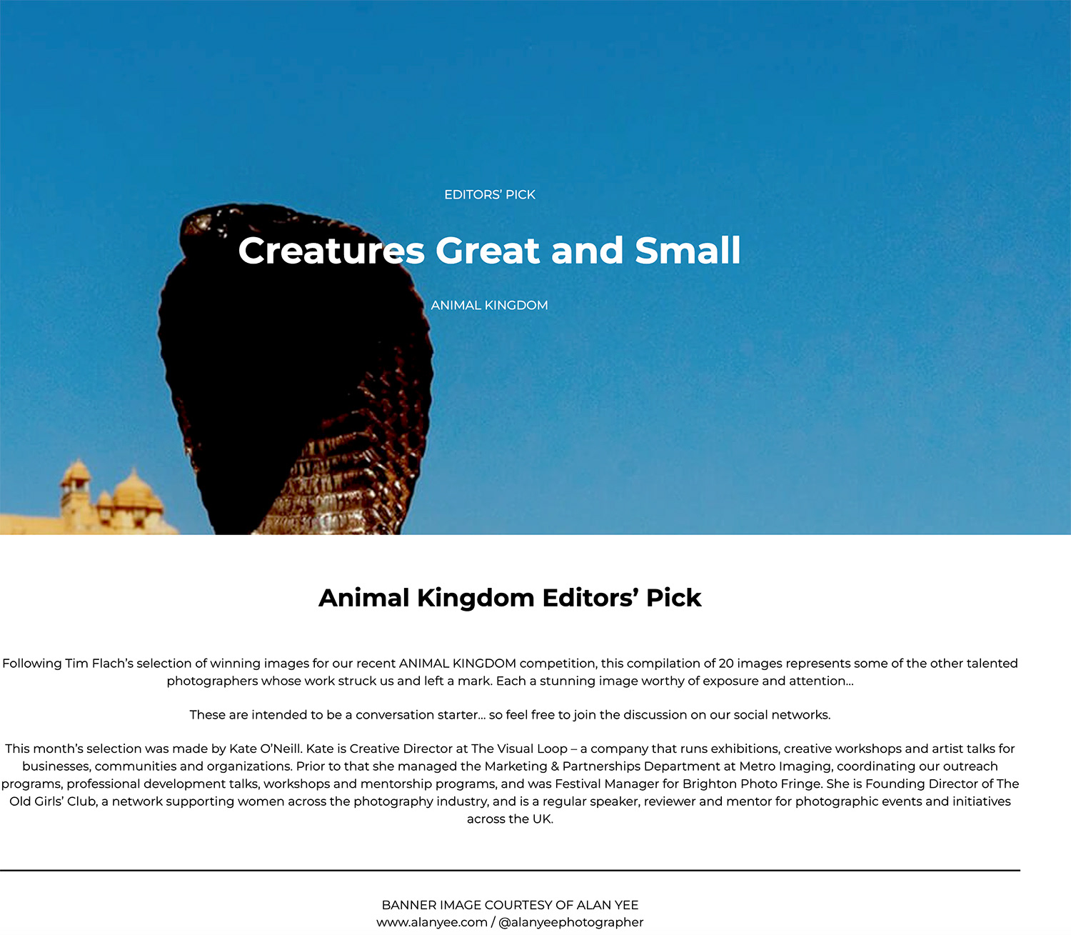 U.K. EDITOR PICK