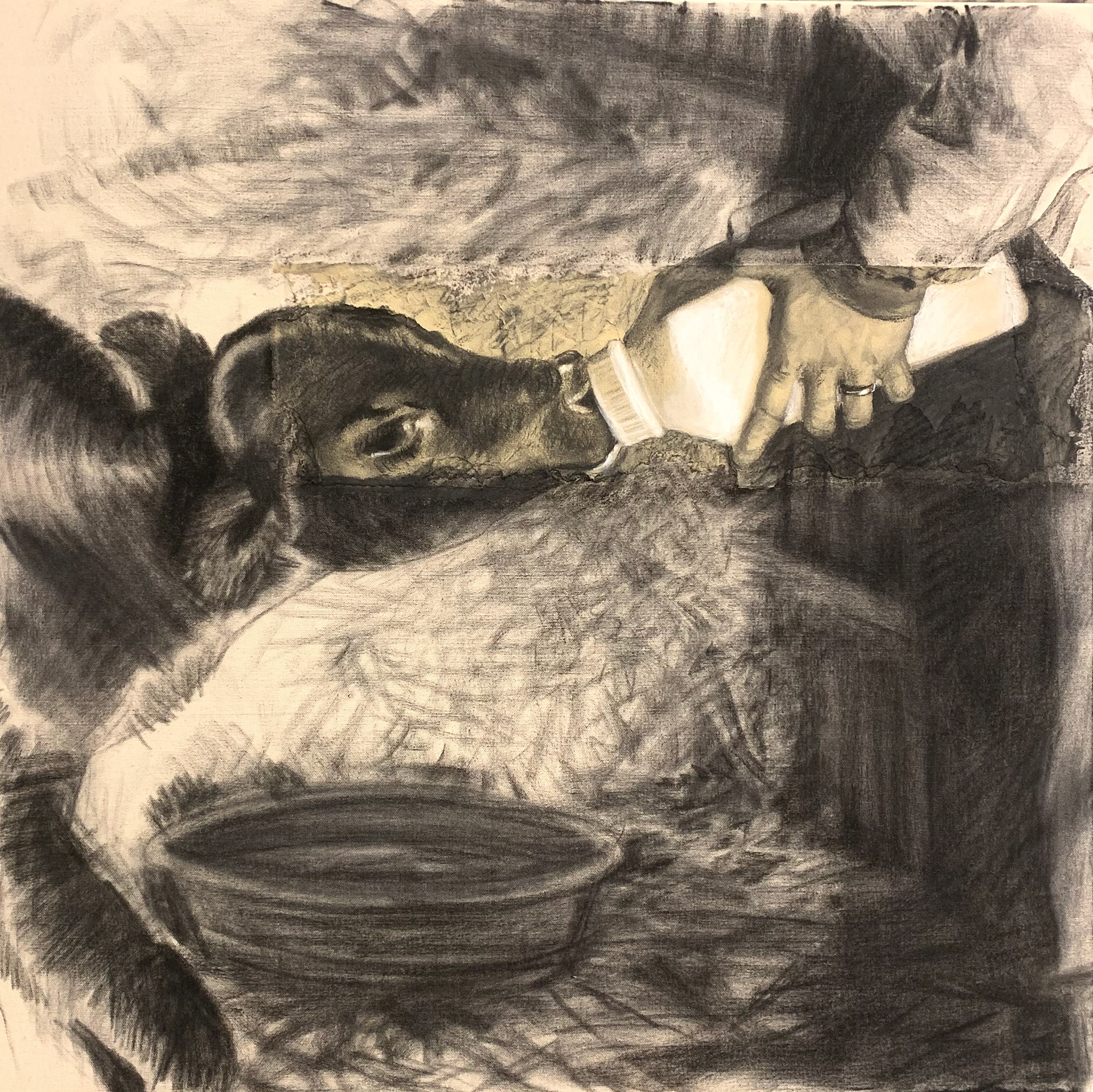 First Milk, charcoal on ripped paper mounted on raw canvas, 2025, 36x36"