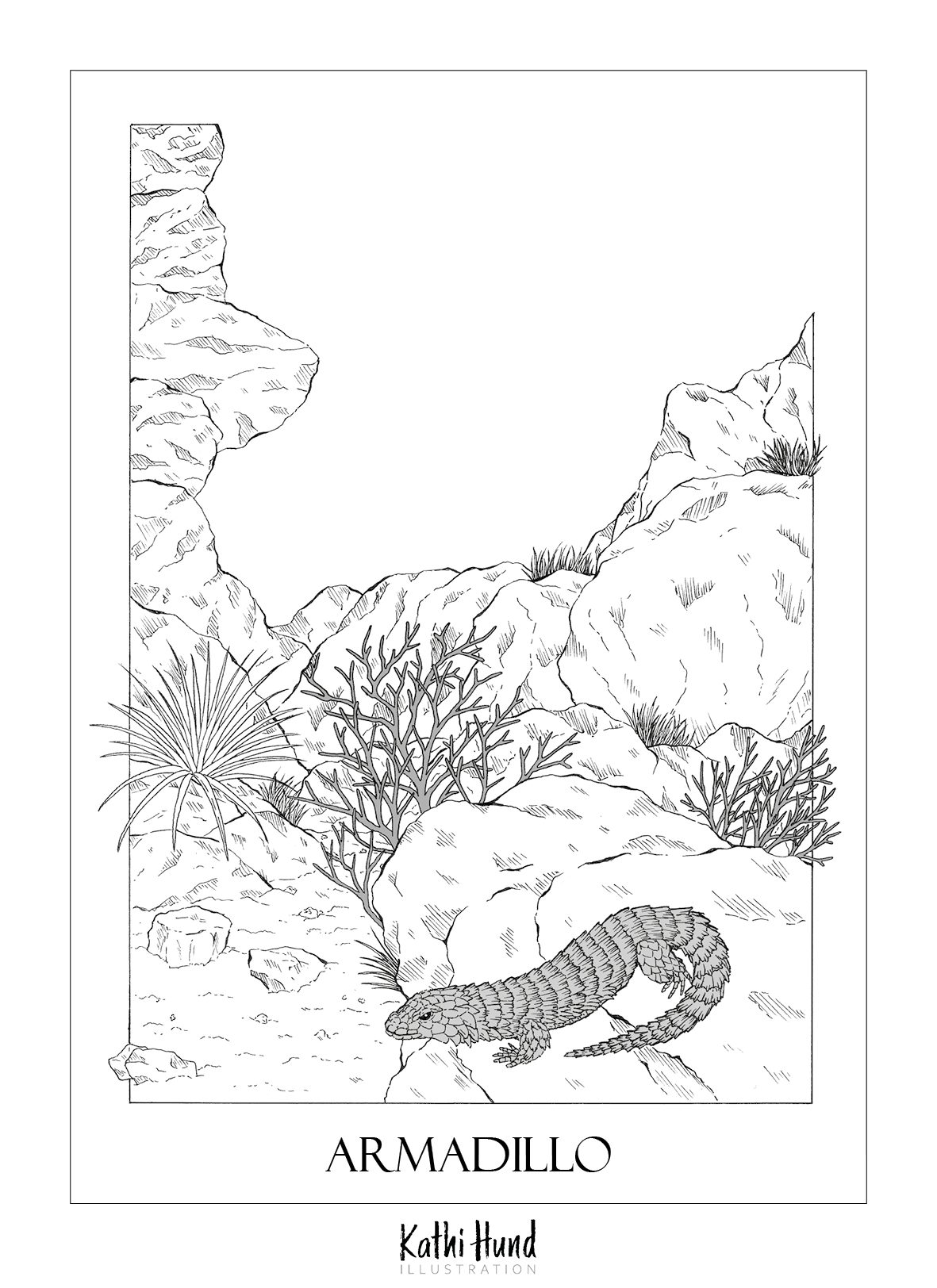 Armadillo