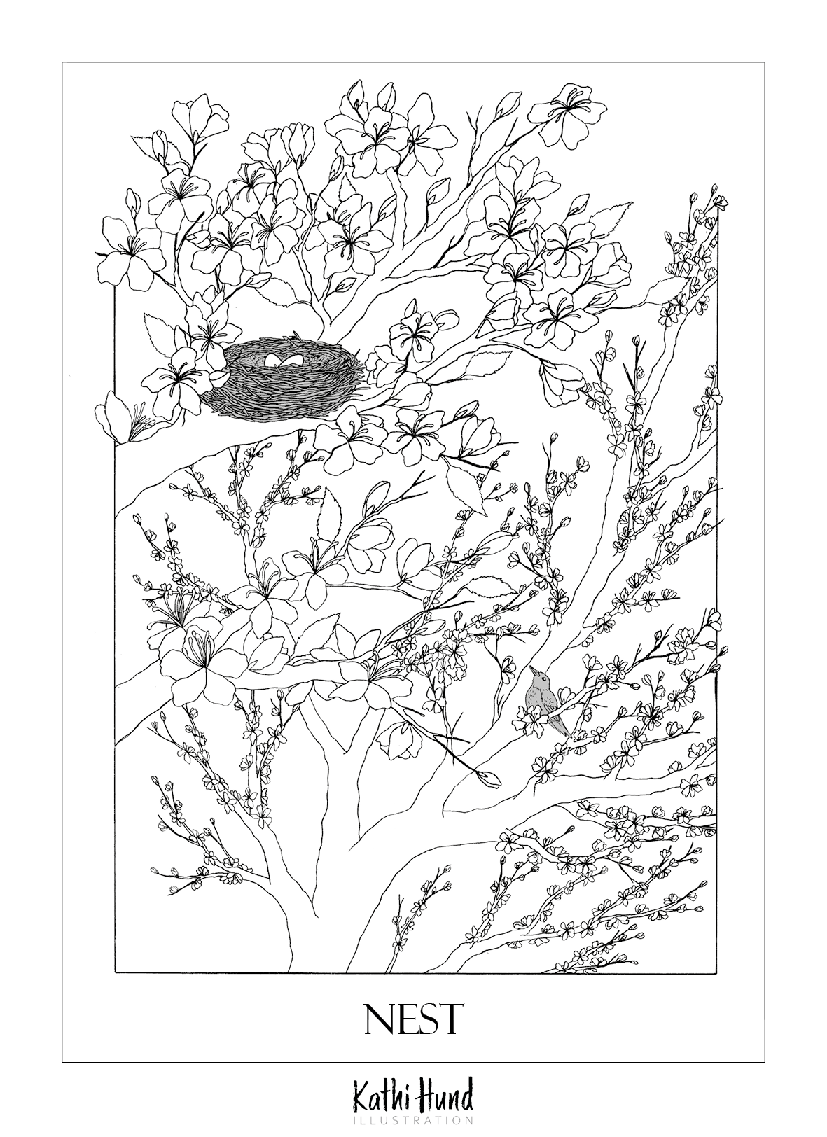 Nest