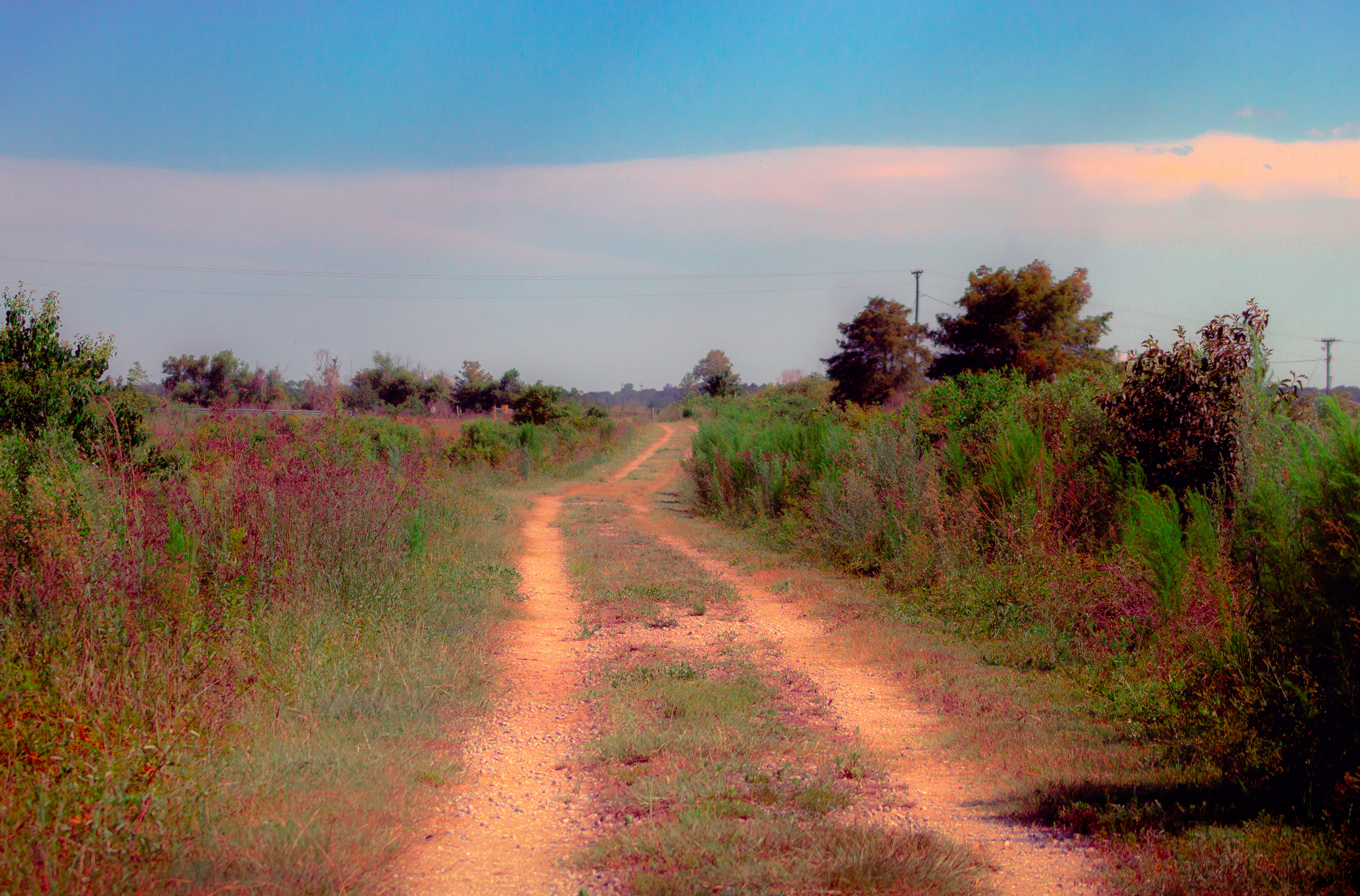A Blistering Hot Day In The Wildlife Refuge