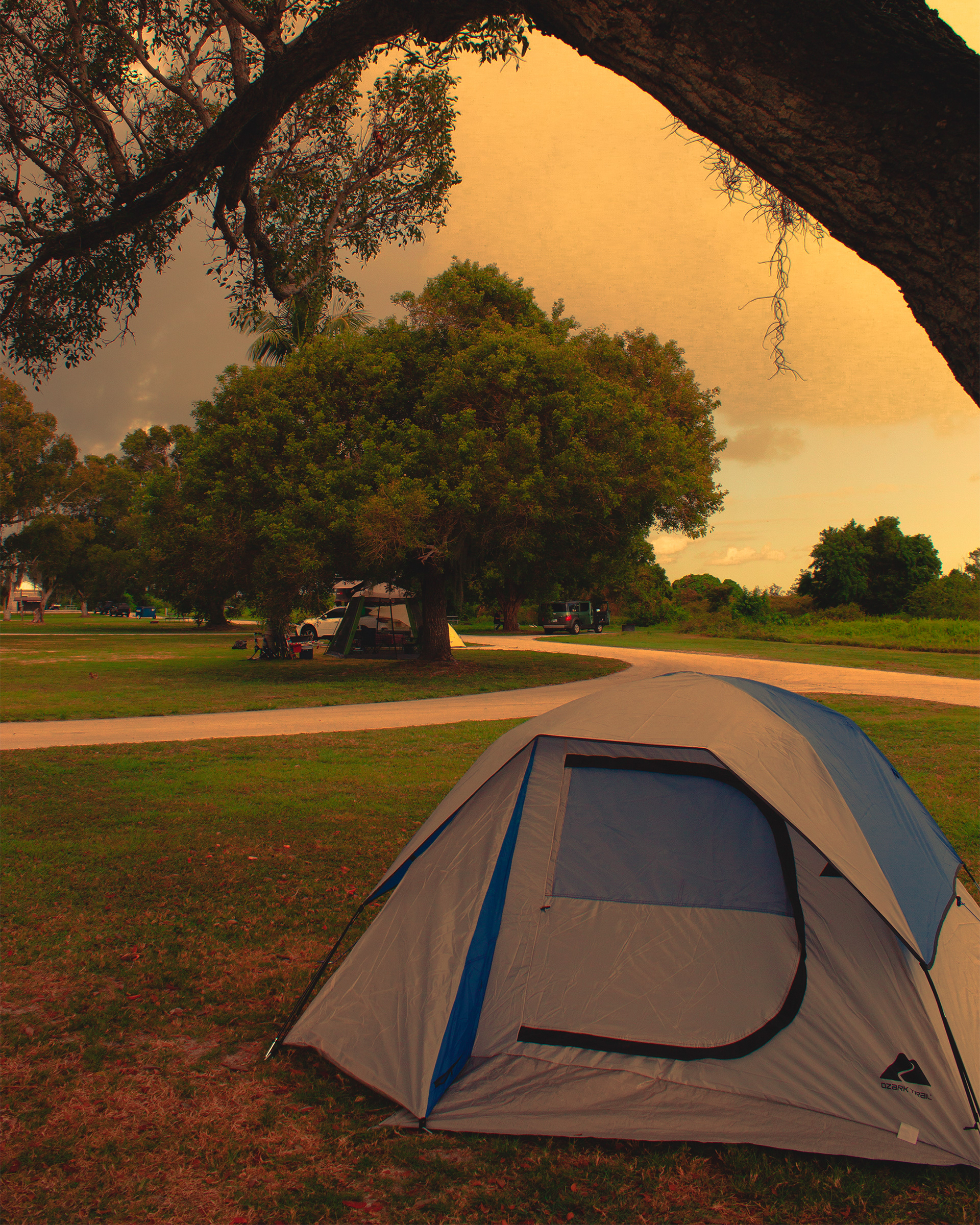 Camping in the Everglades
