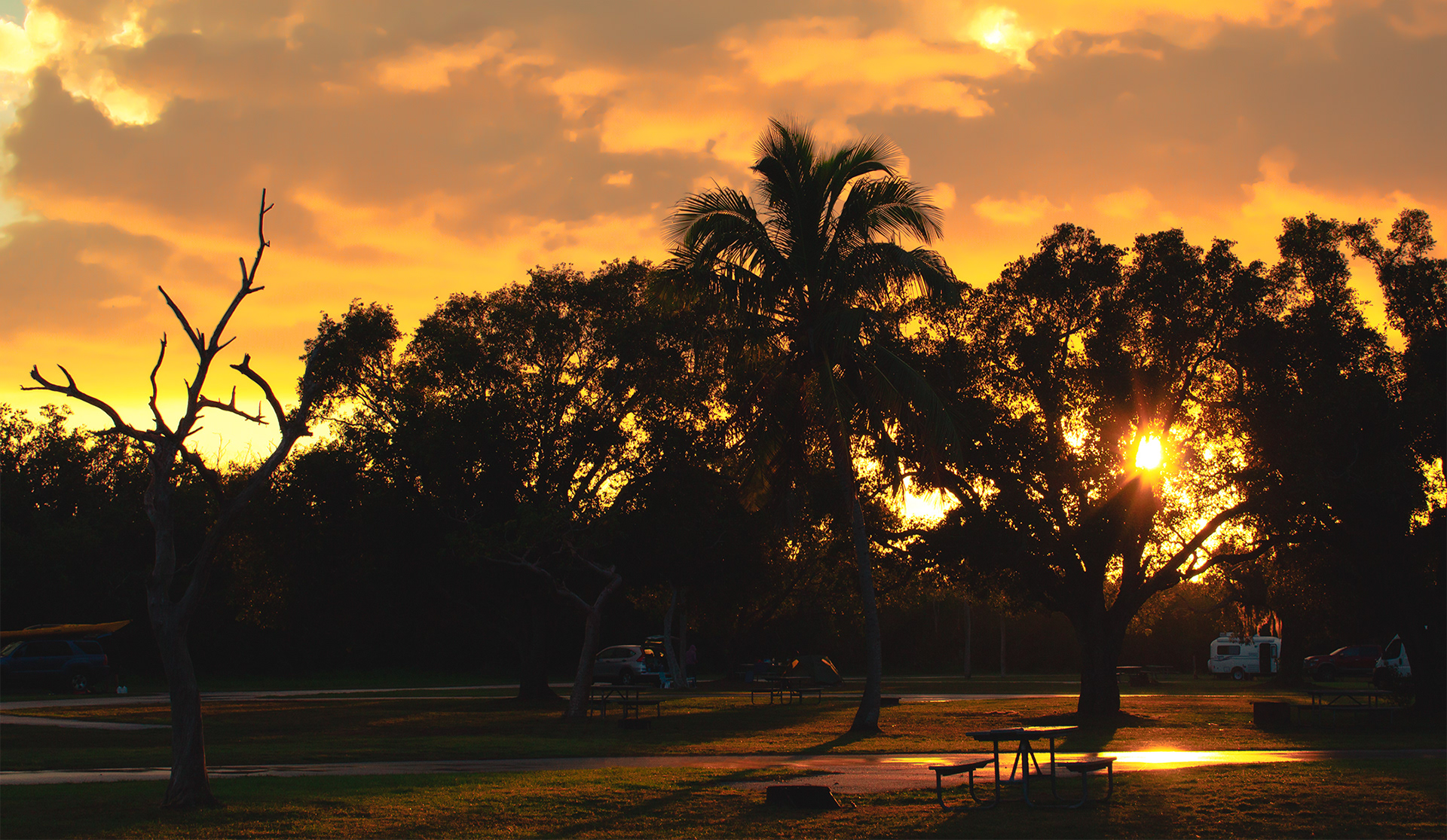 Camping In The Everglades