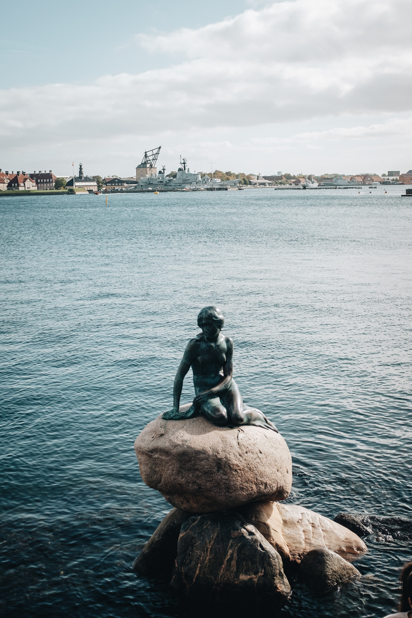 Geneticky neupravená Malá mořská víla