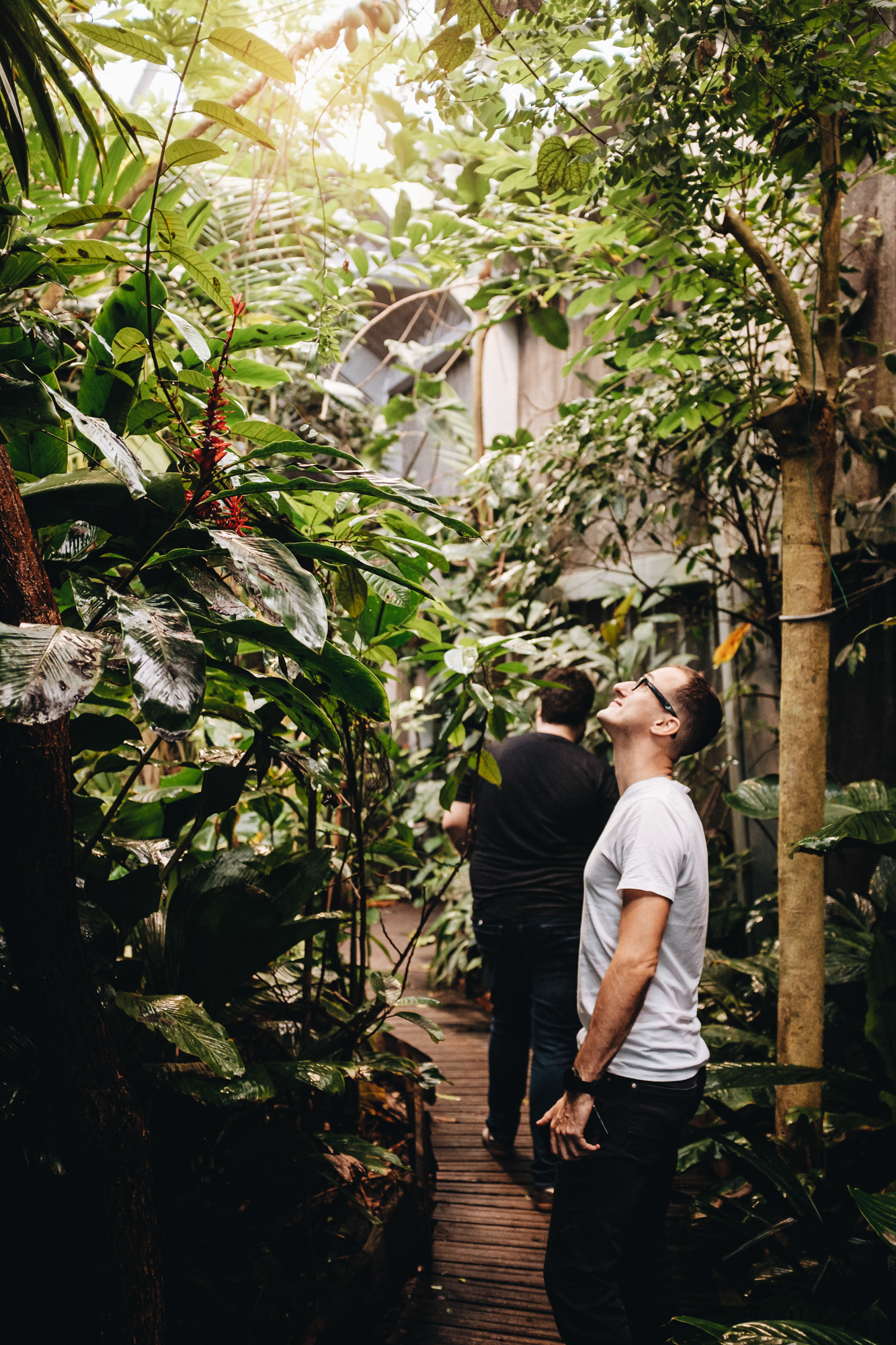 Expozice deštnýho pralesa