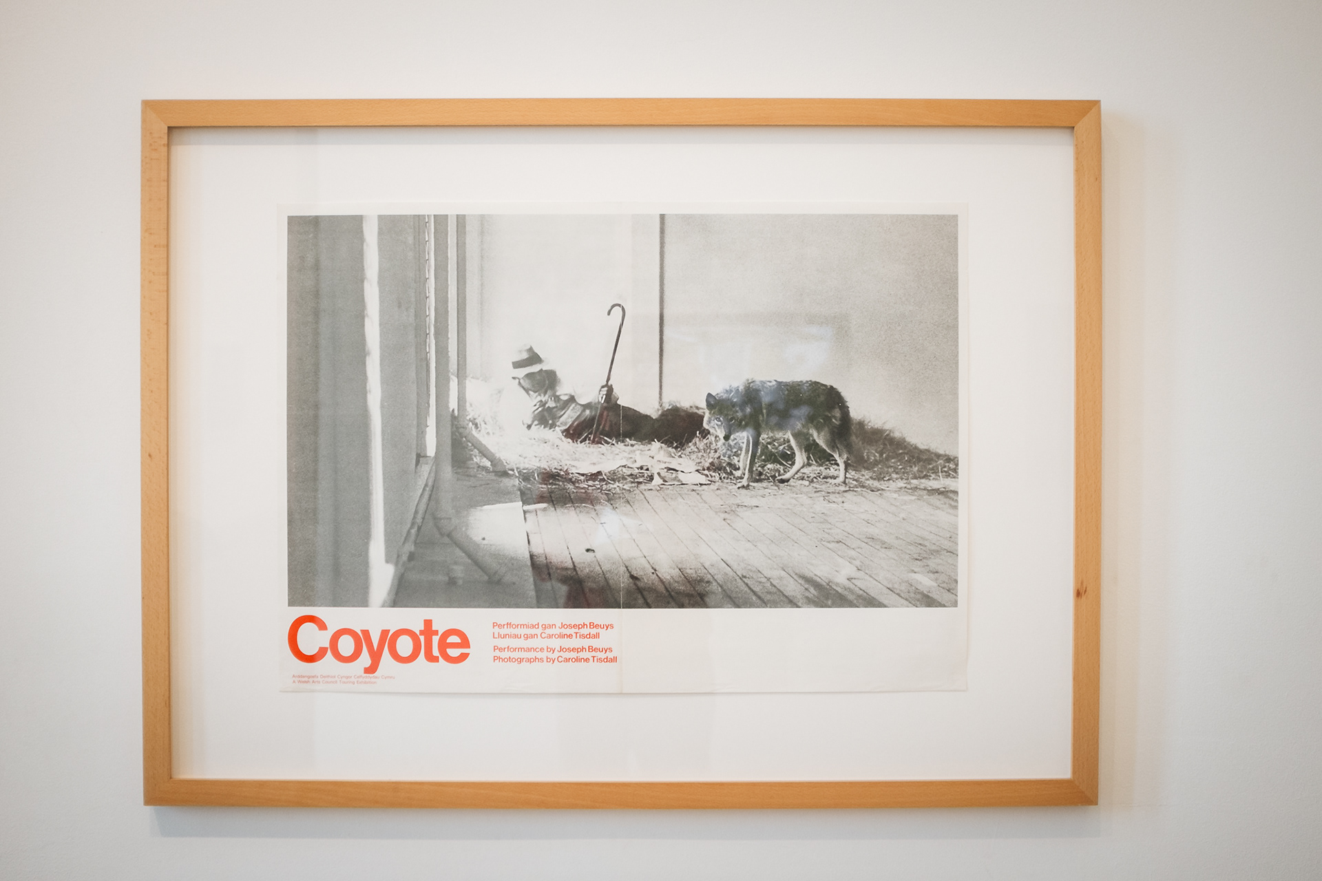 Beuys don't cry