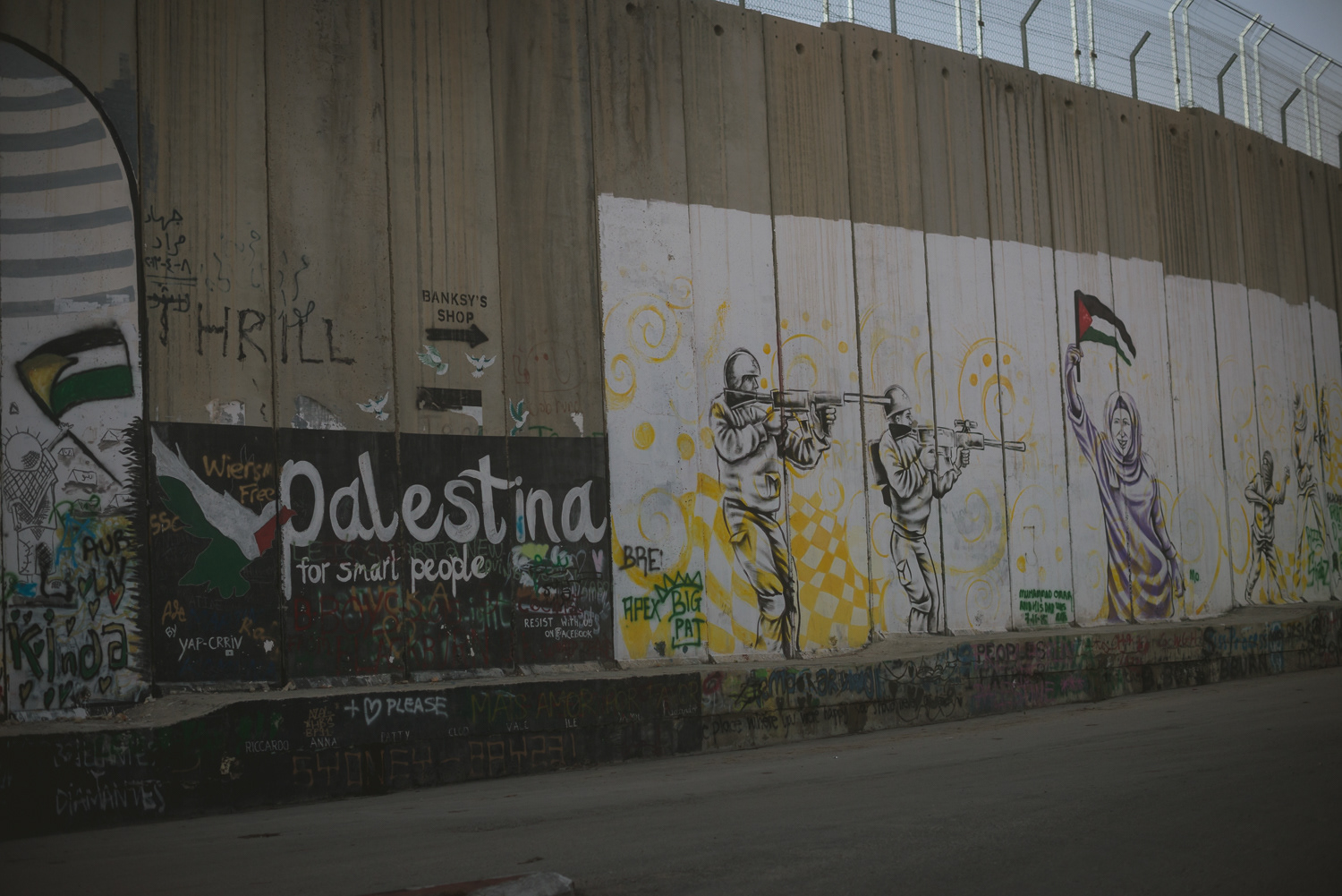 Palestina for smart people