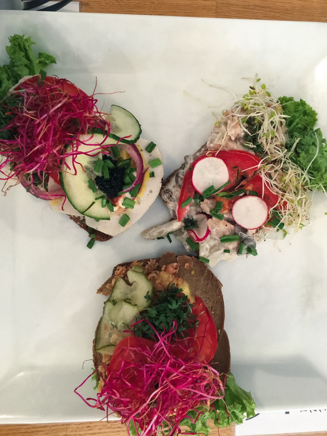 Smørrebrød - obloženej chleba, typický dánský jídlo (tady veganská verze vajíčkovýho, kuřecího a salámovýho)