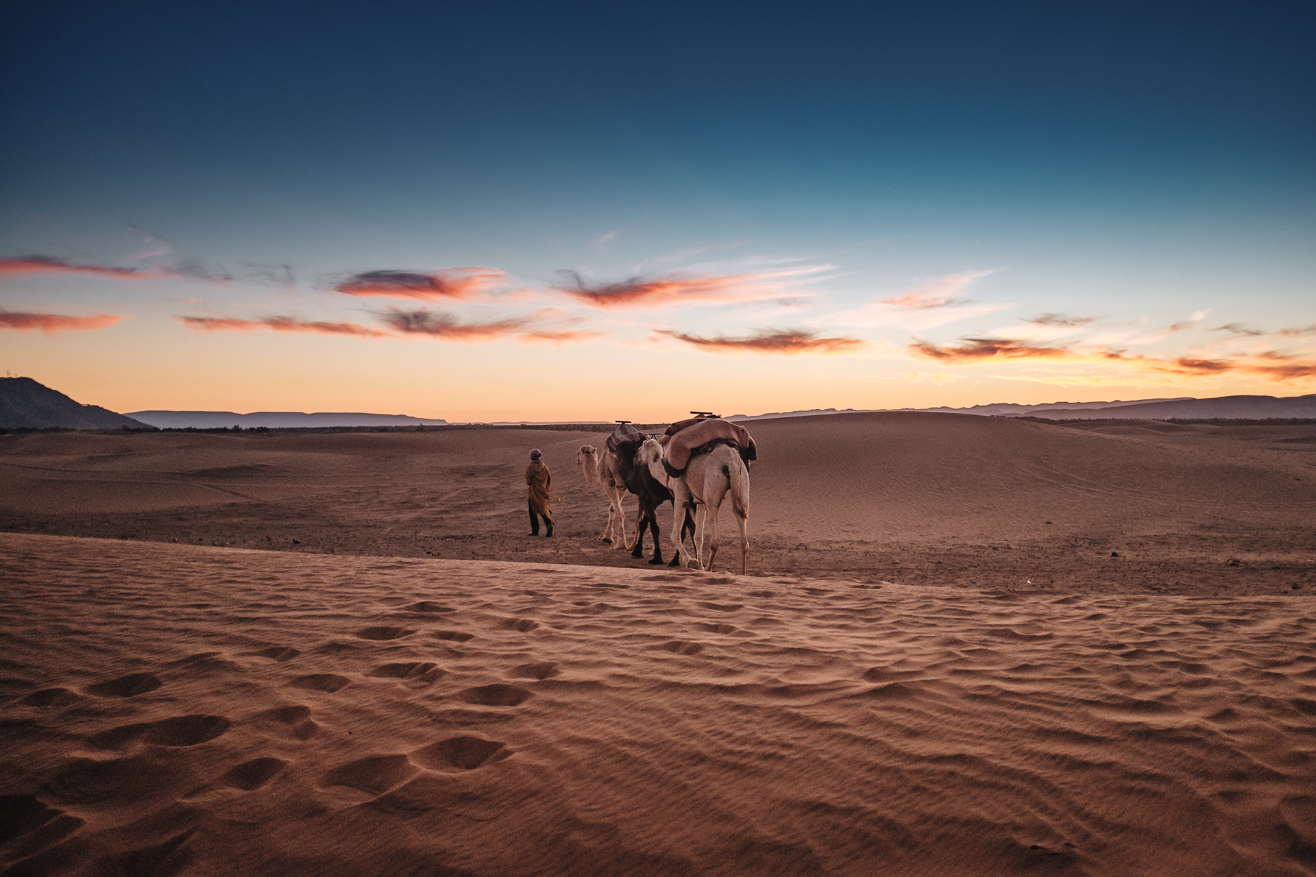 Sahara