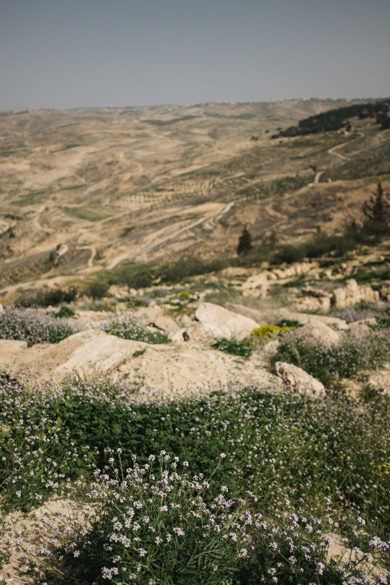 Mount Nebo – hora, ze které Mojžíš viděl zemi zaslíbenou, nádherný výhled na Gileád, Jericho, ...
