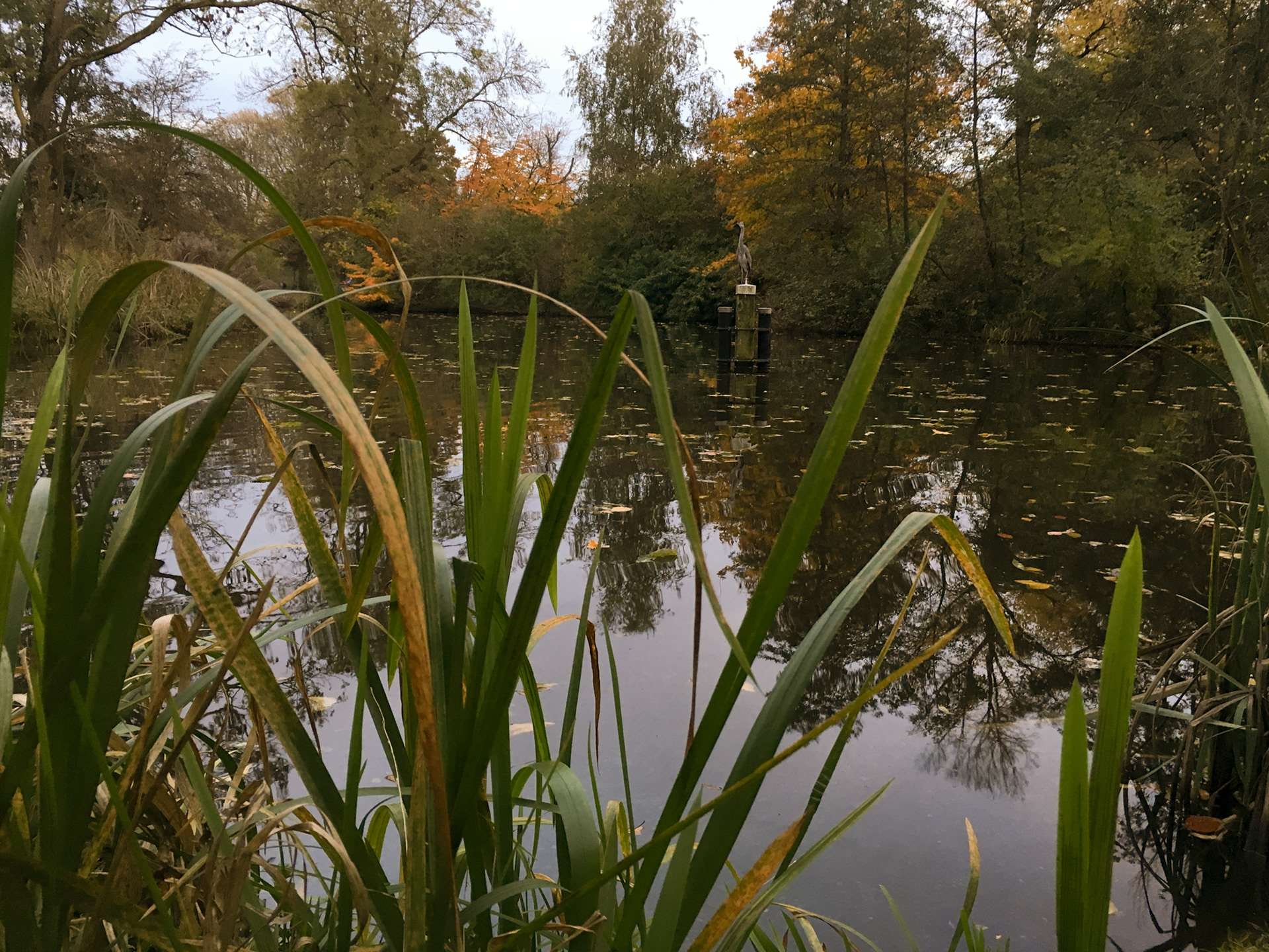 Vondelpark