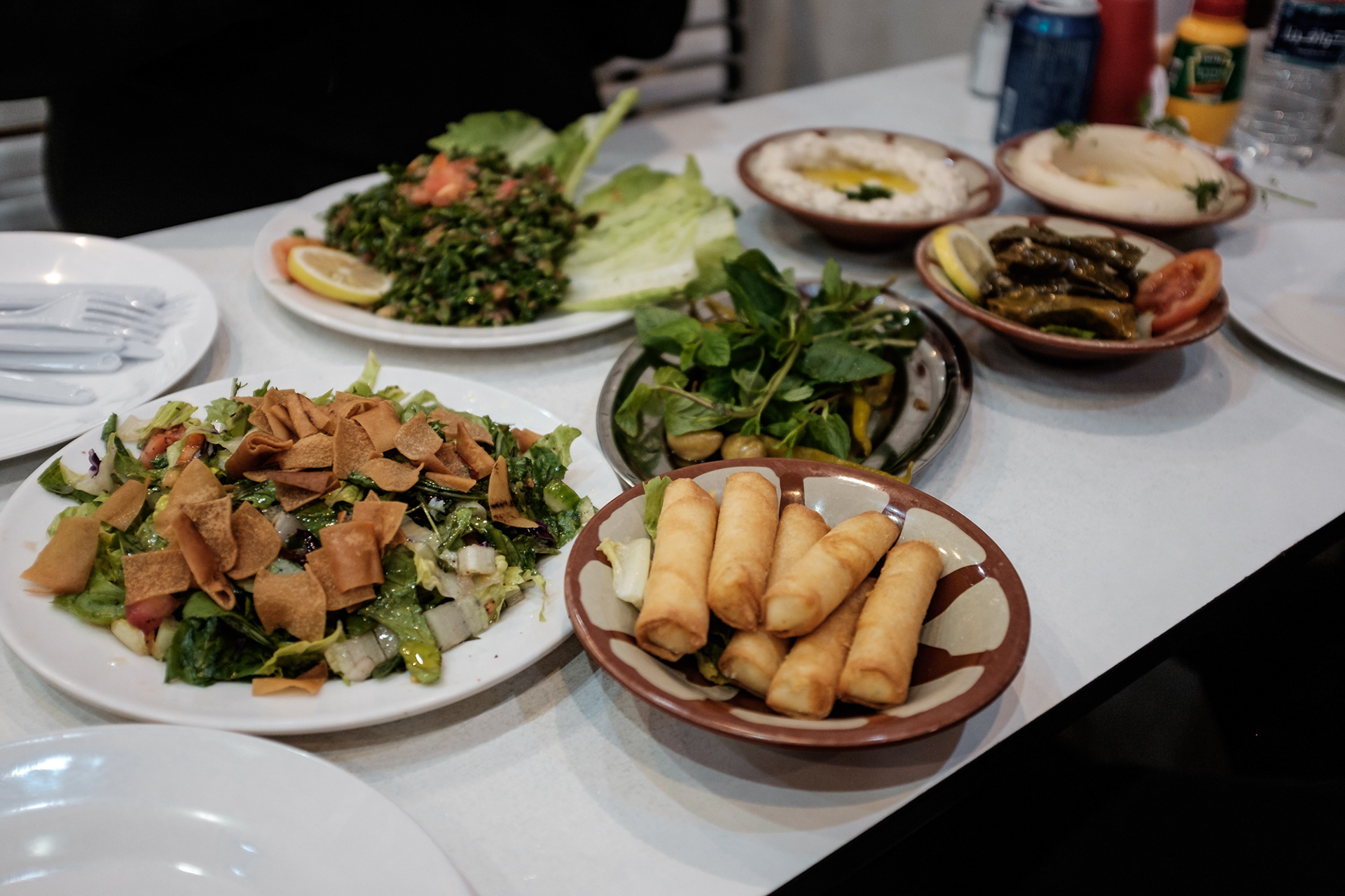 Hamás (Hummus podle Ondry), Fatah (Fattoush podle Ondry), Tabbouleh, Baba Ganoush a sýrový a listový rolky