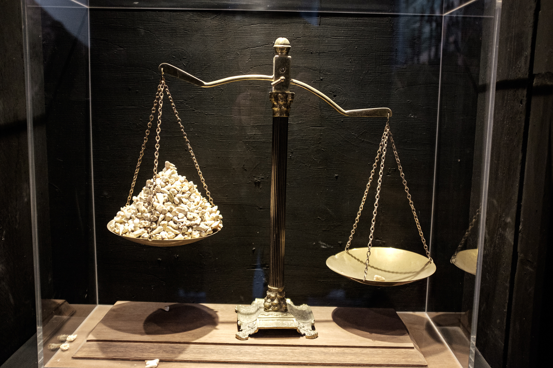 Muzeum okupace Palestiny