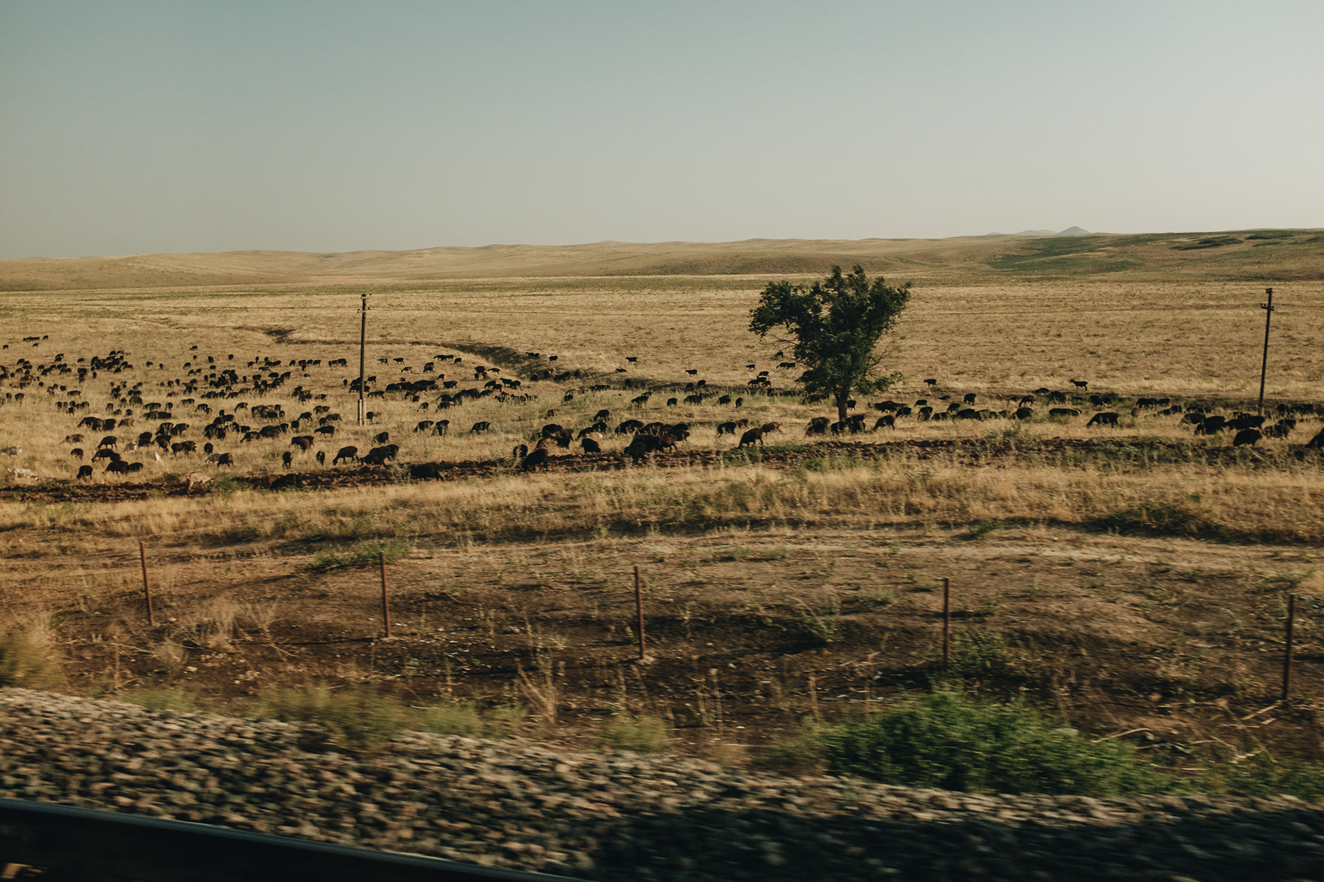 Cesta rychlovlakem (230km/h)