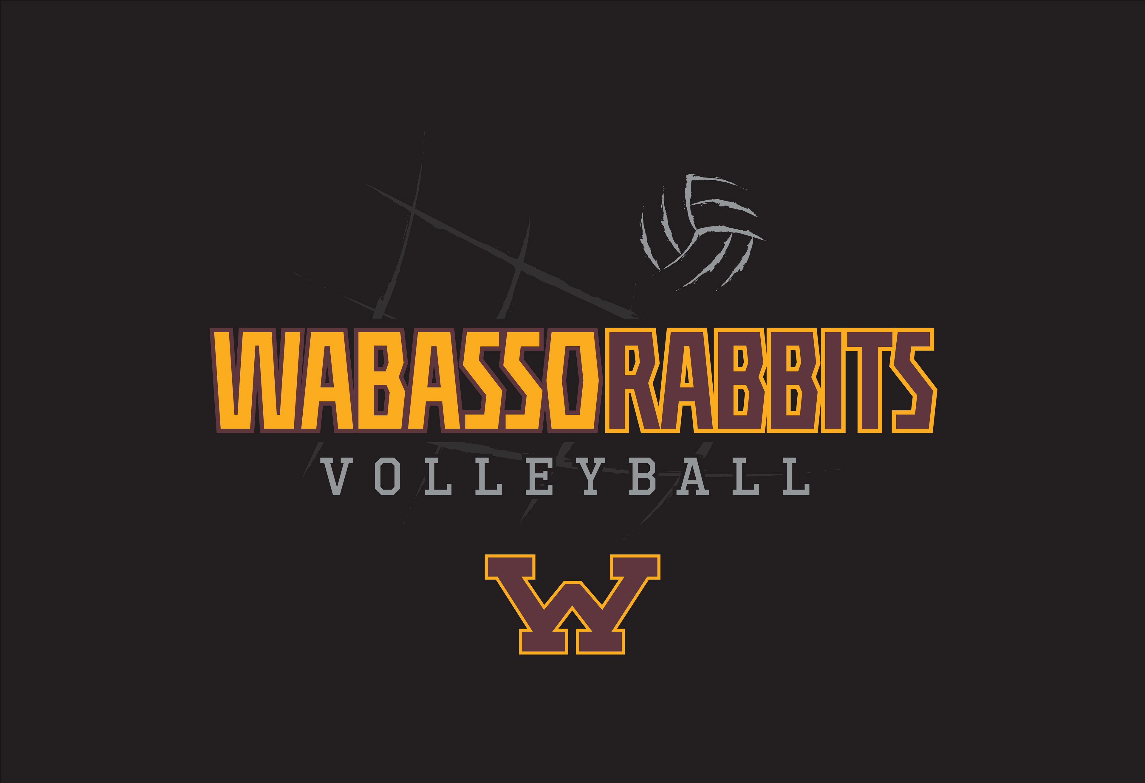 VOLLEY_015