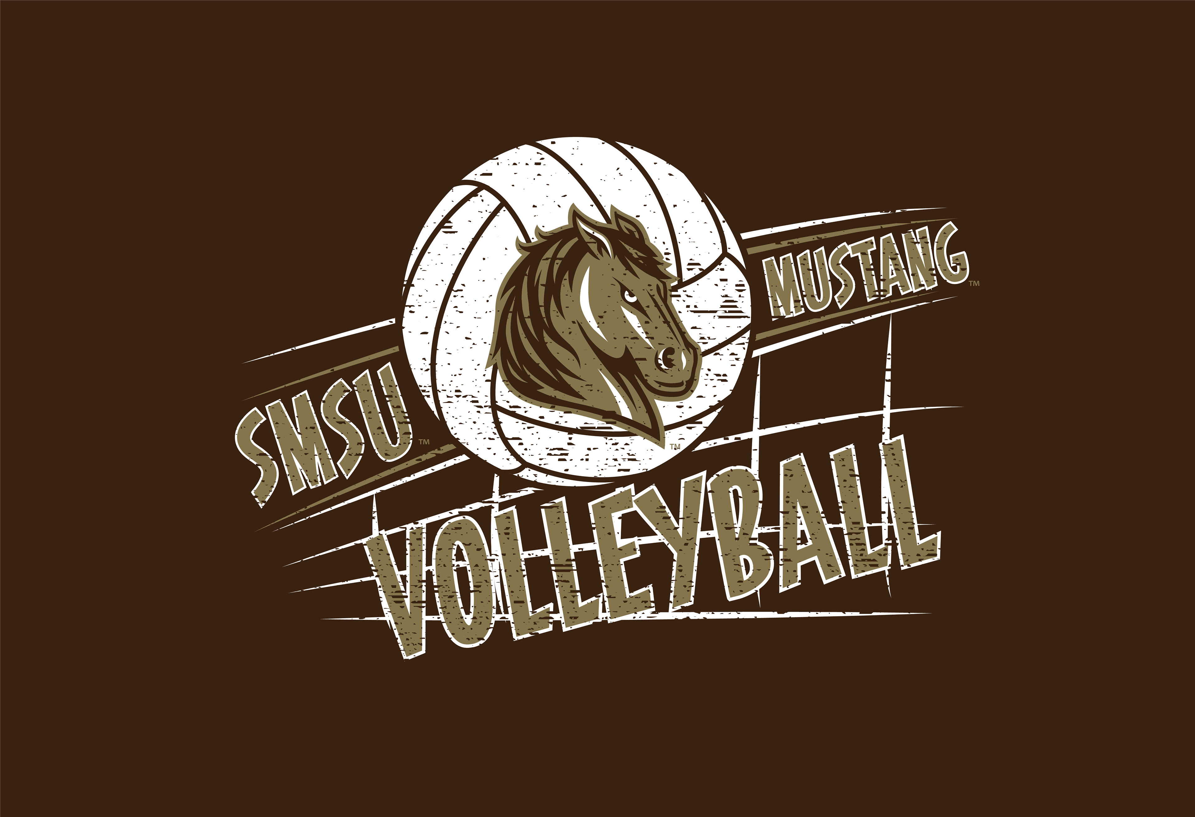 VOLLEY_241