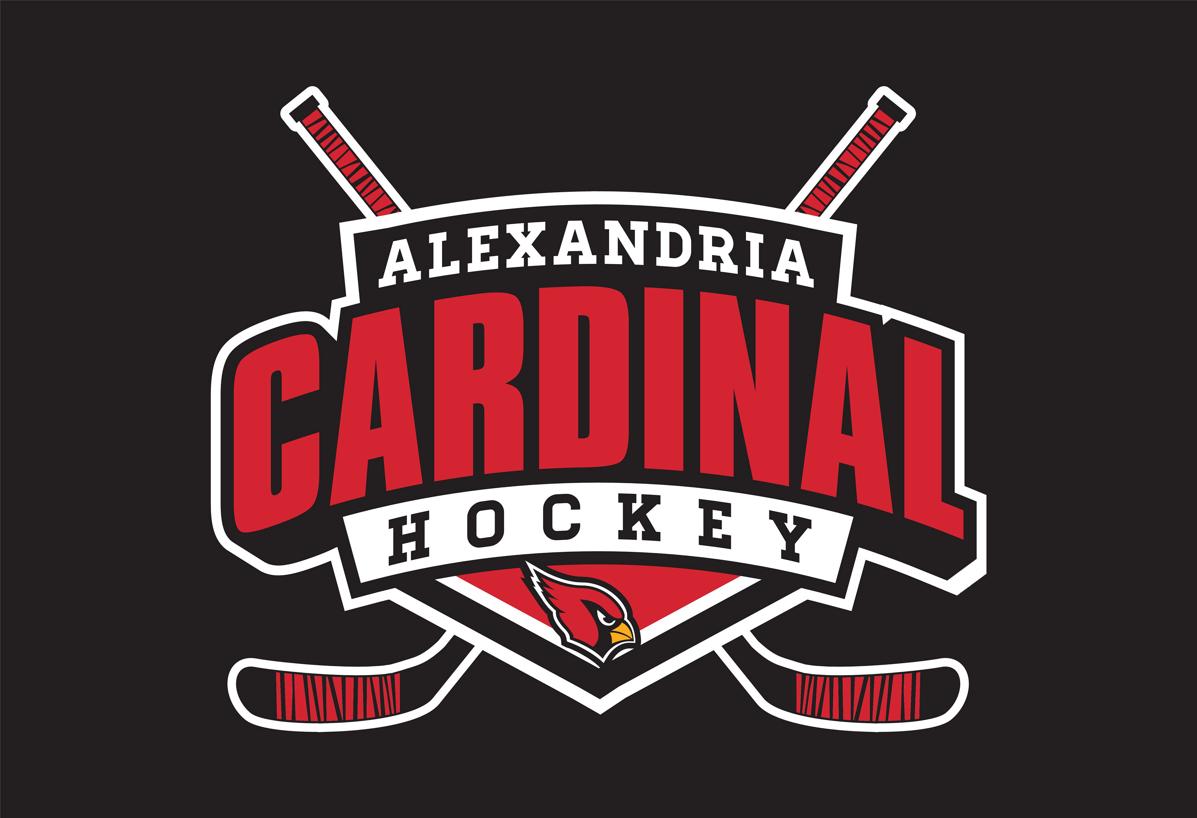 HOCKEY_013