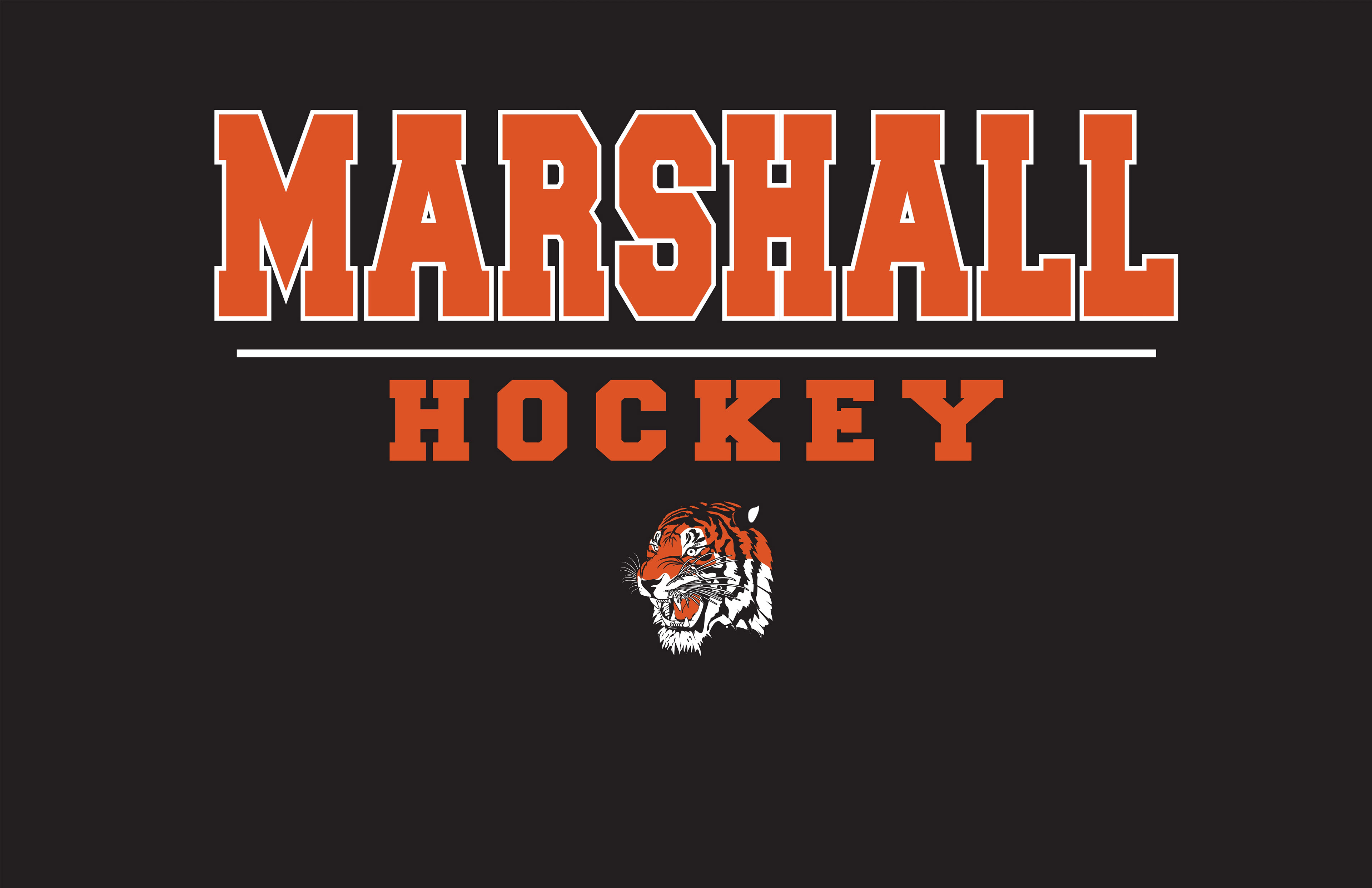 HOCKEY_019