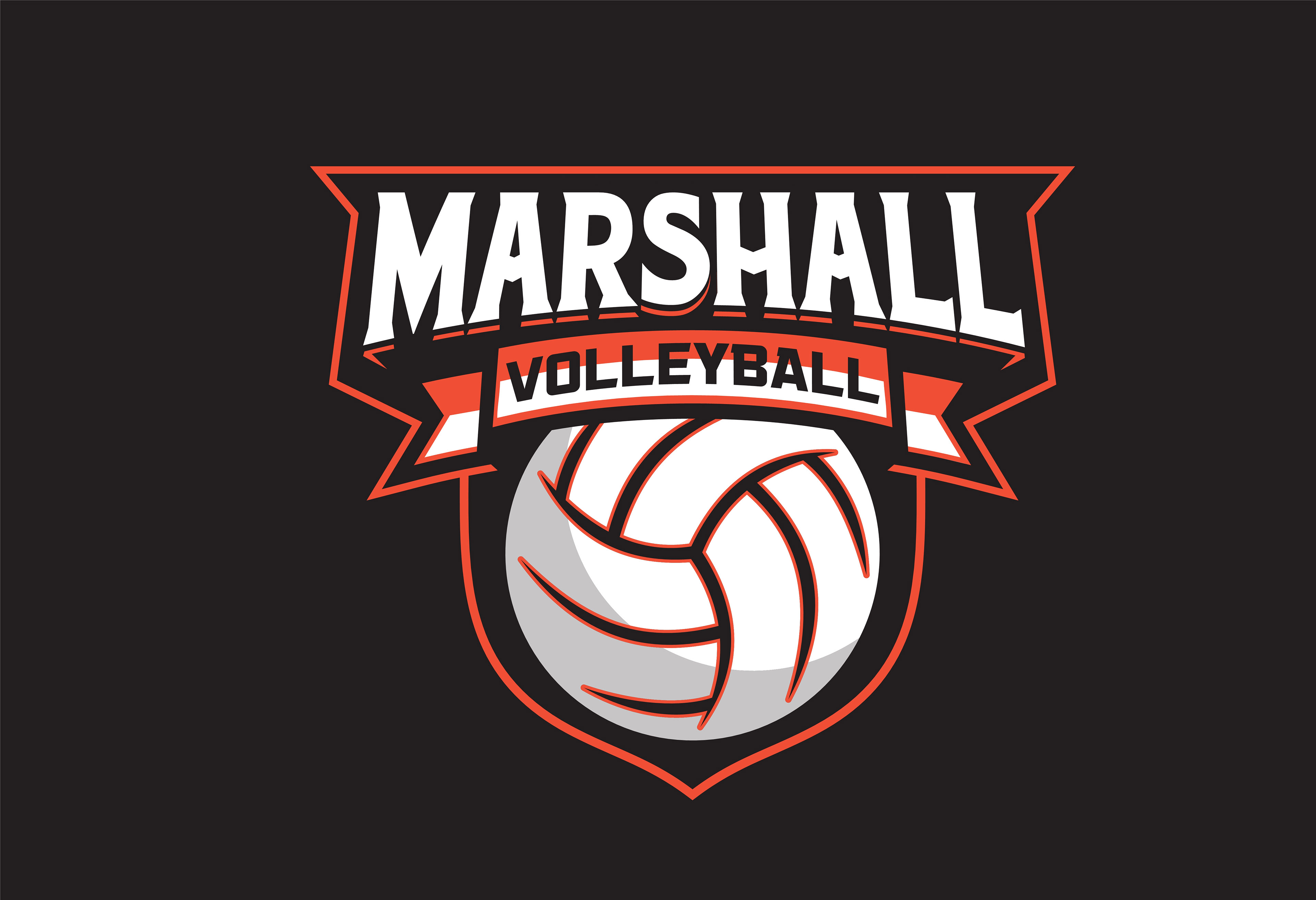 VOLLEY_207
