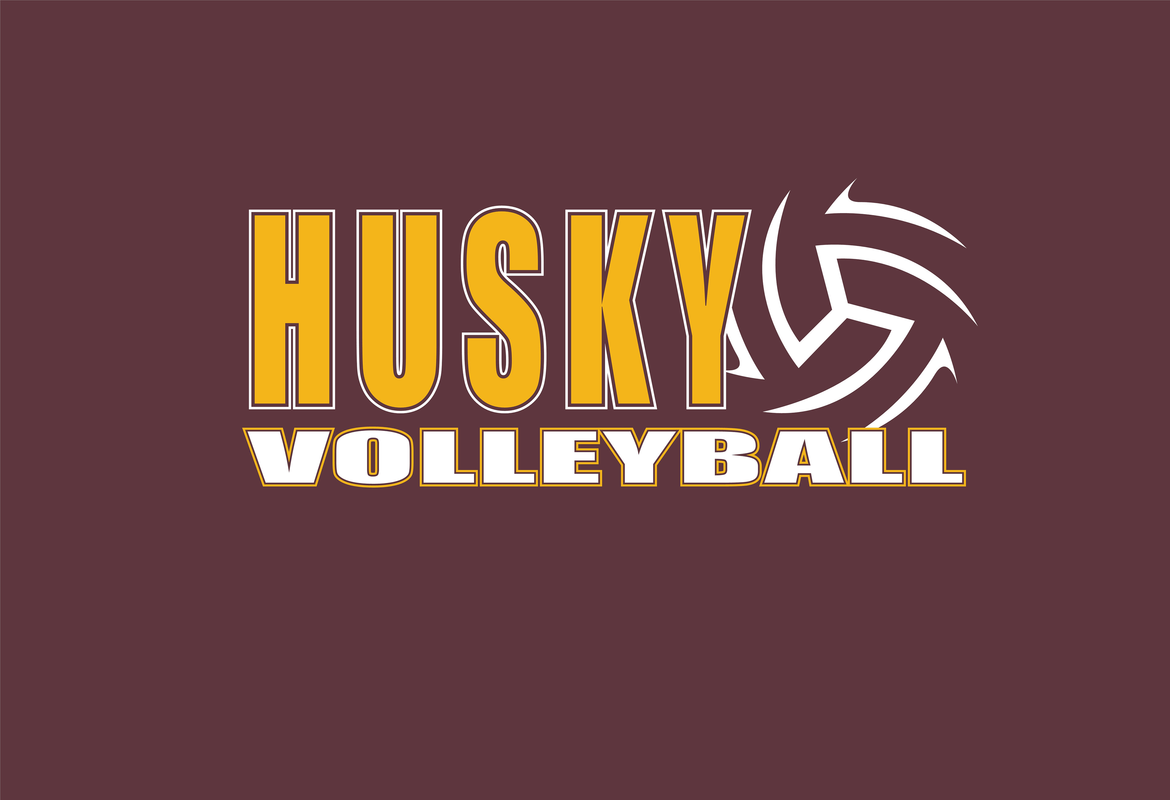 VOLLEY_250