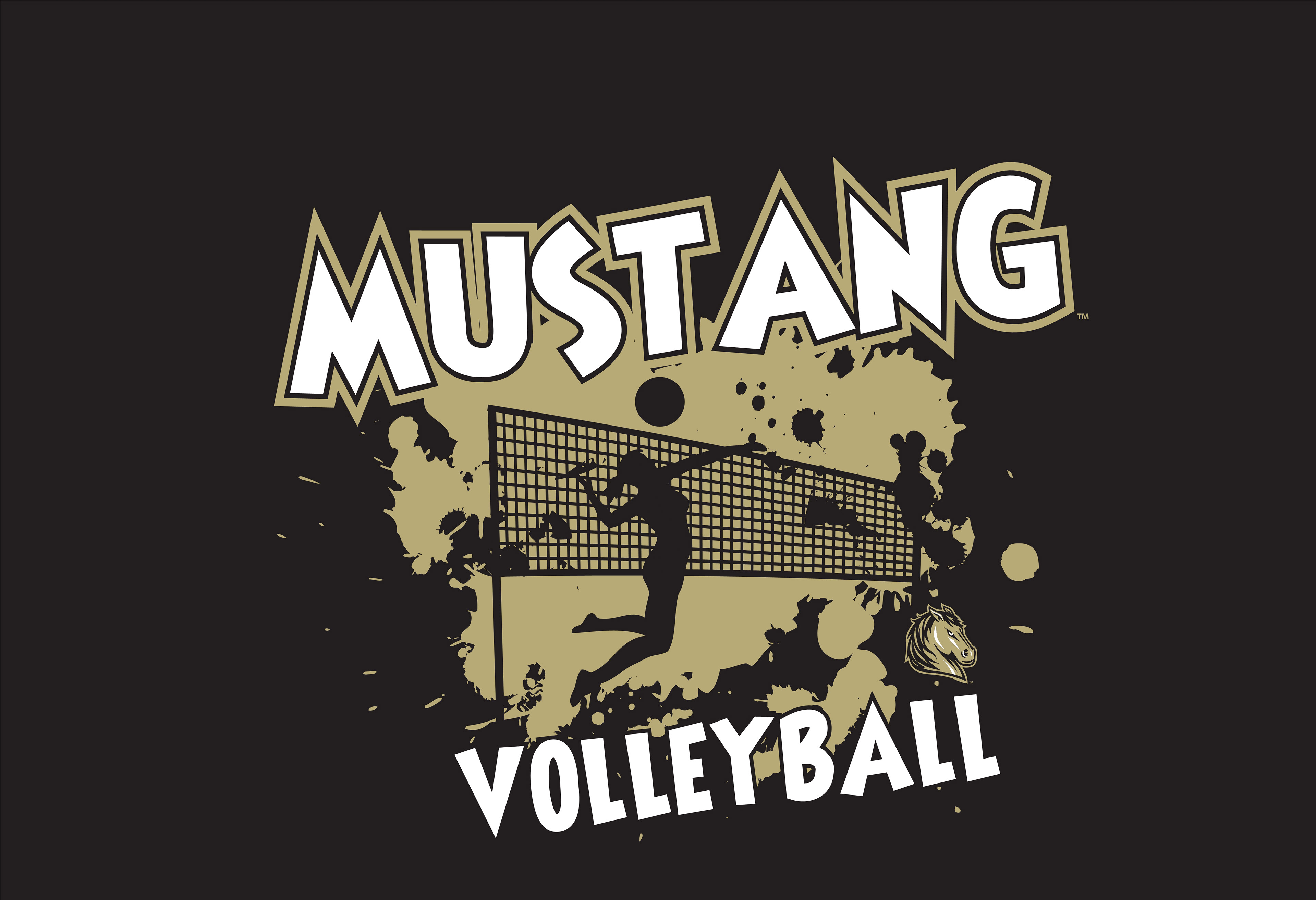 VOLLEY_239