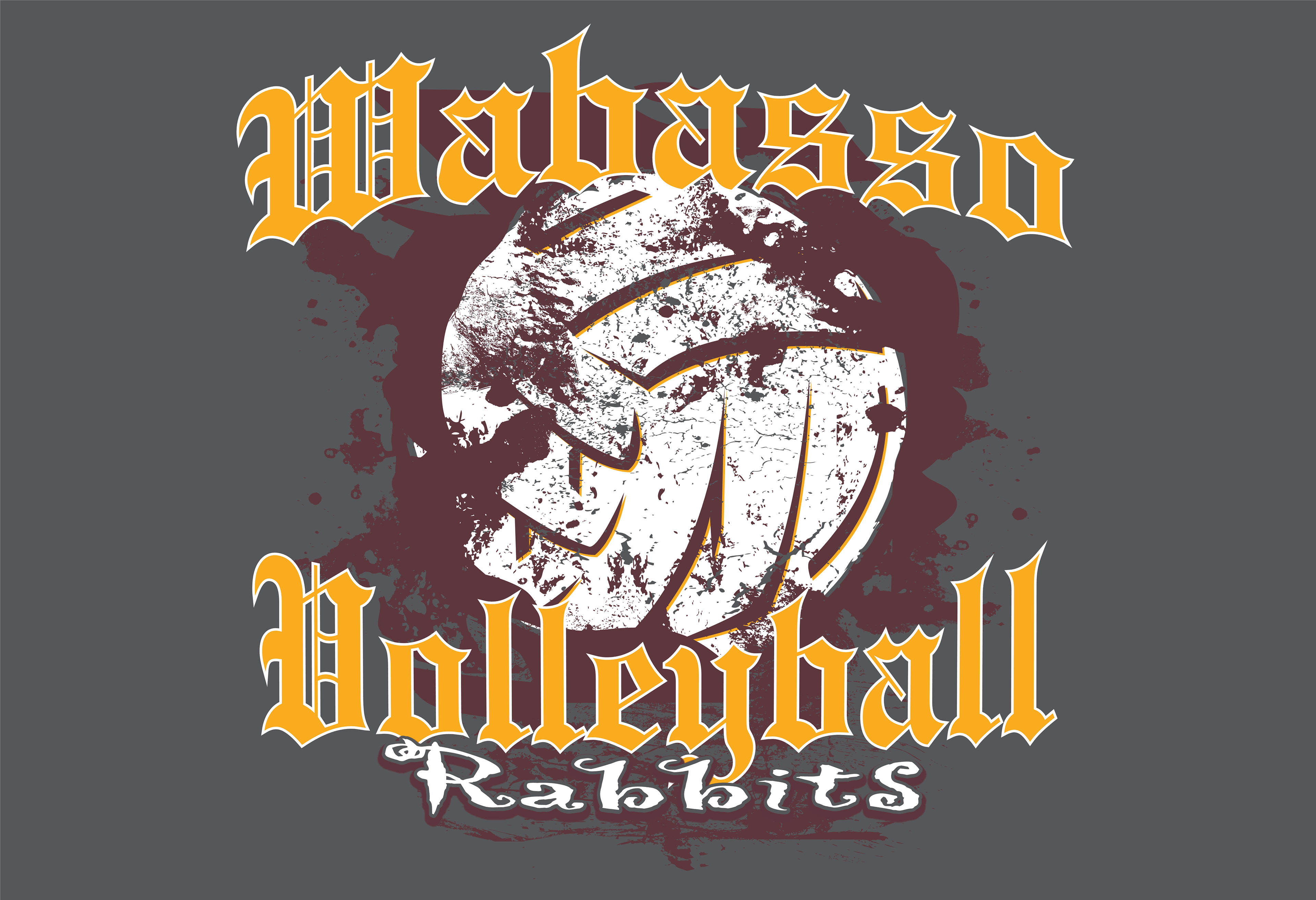 VOLLEY_085
