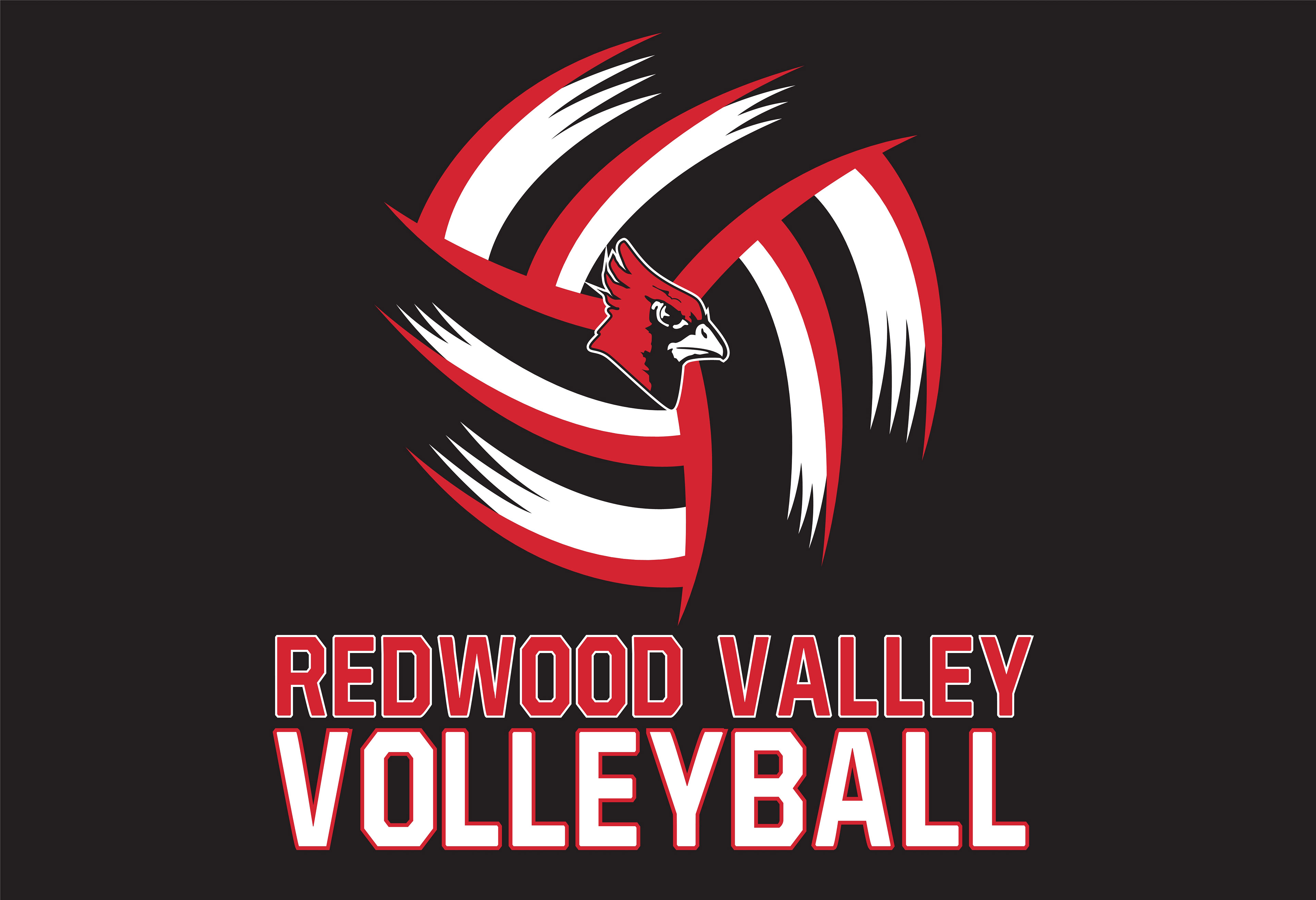 VOLLEY_121