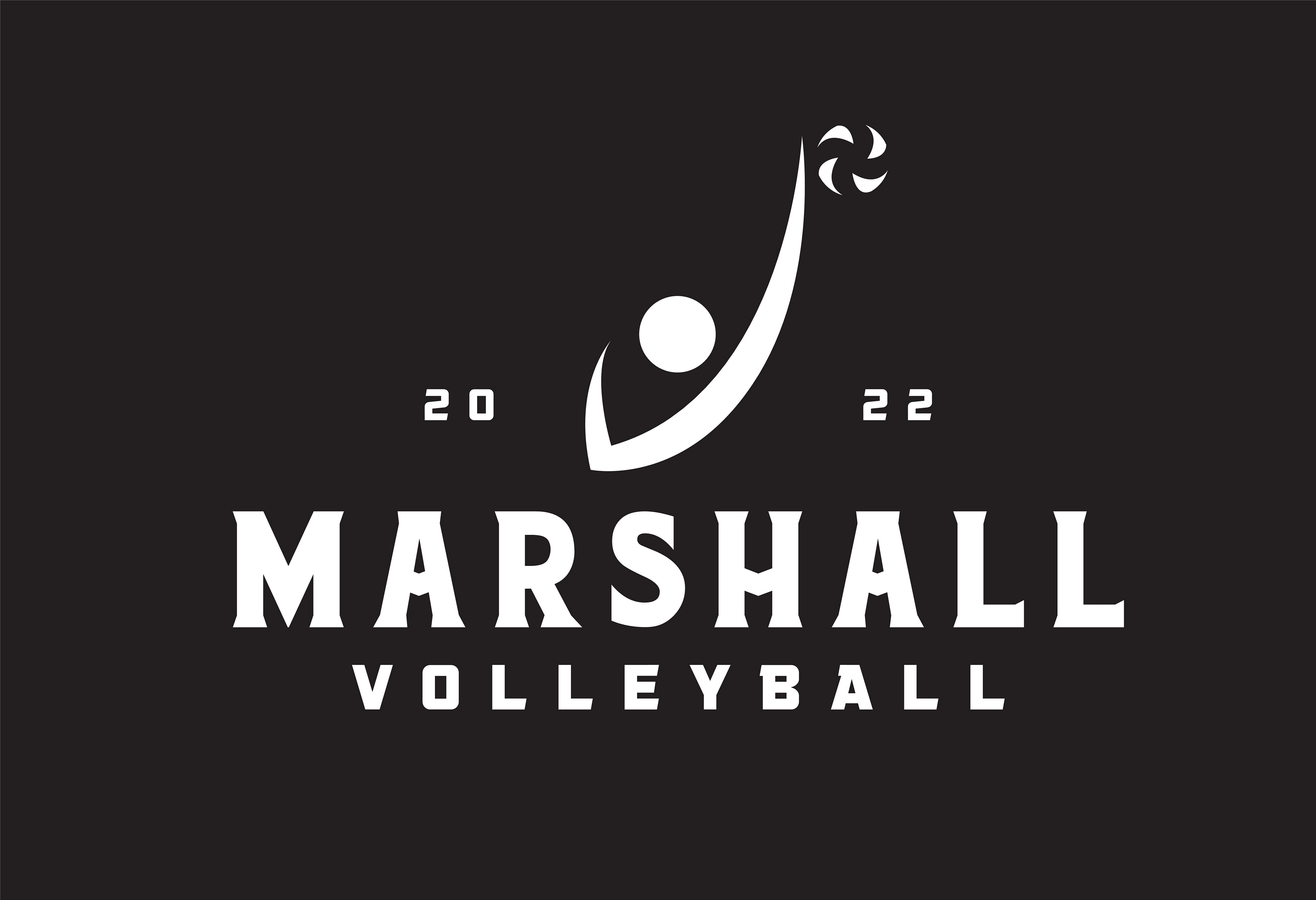 VOLLEY_209