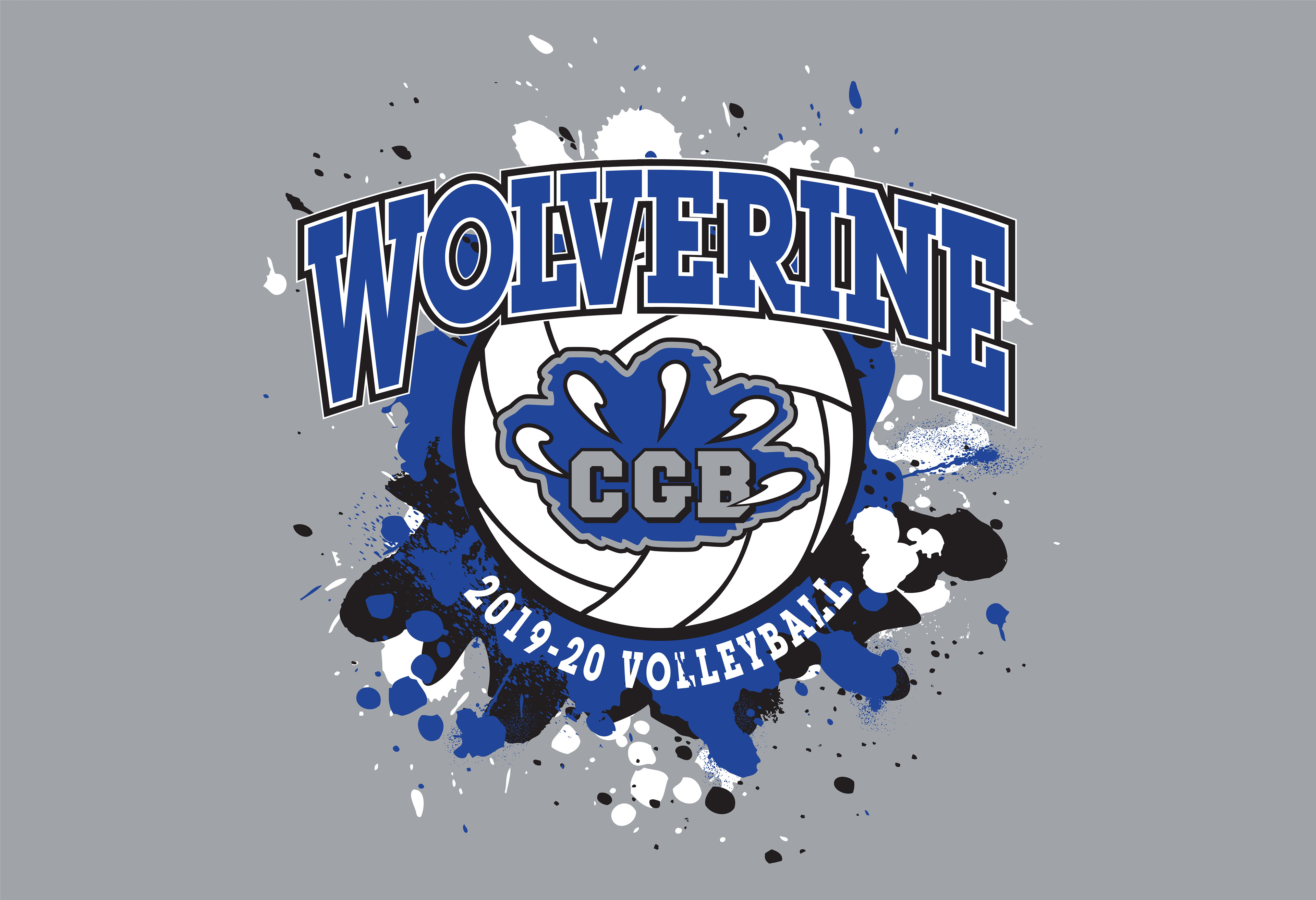 VOLLEY_237