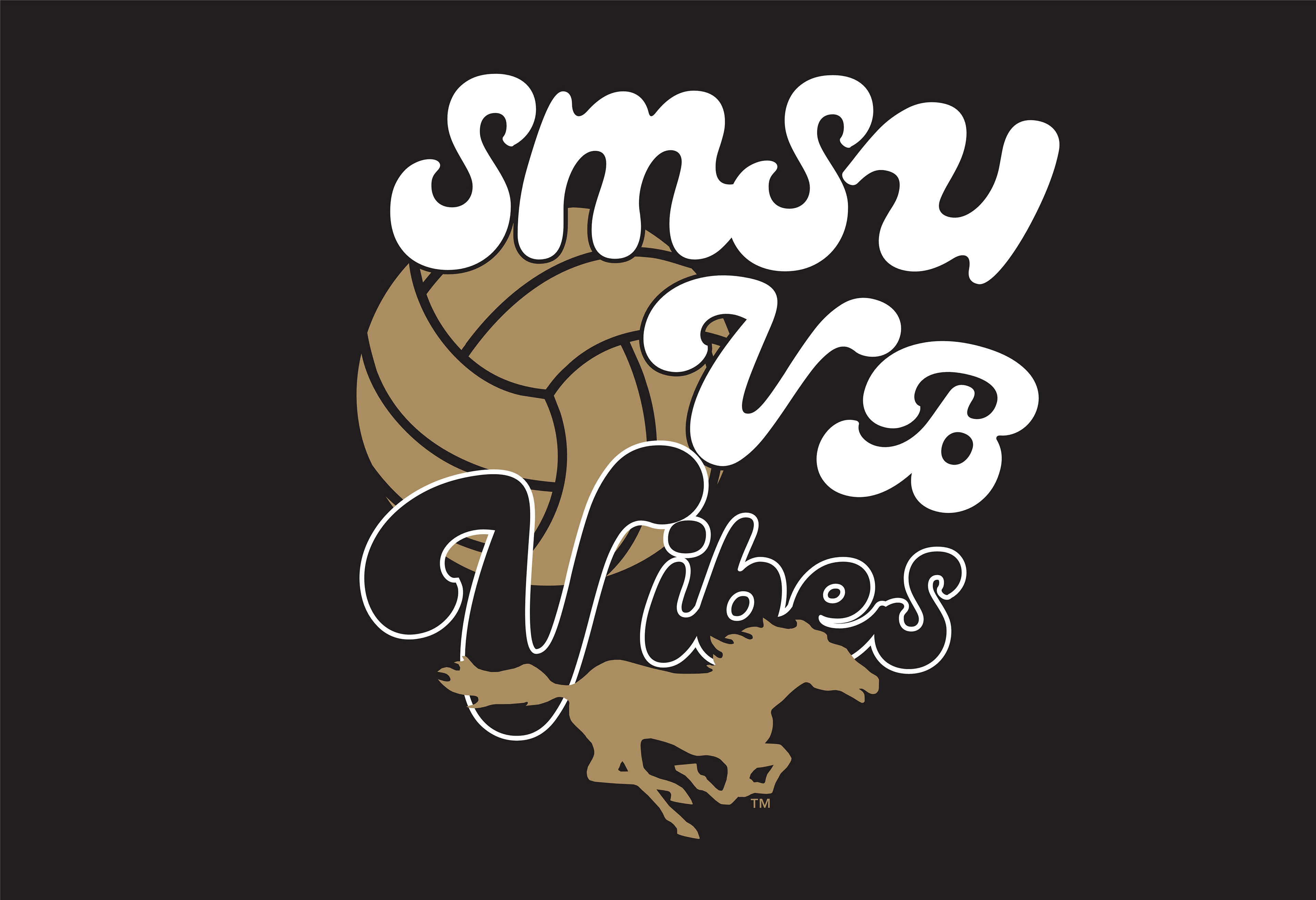 VOLLEY_024