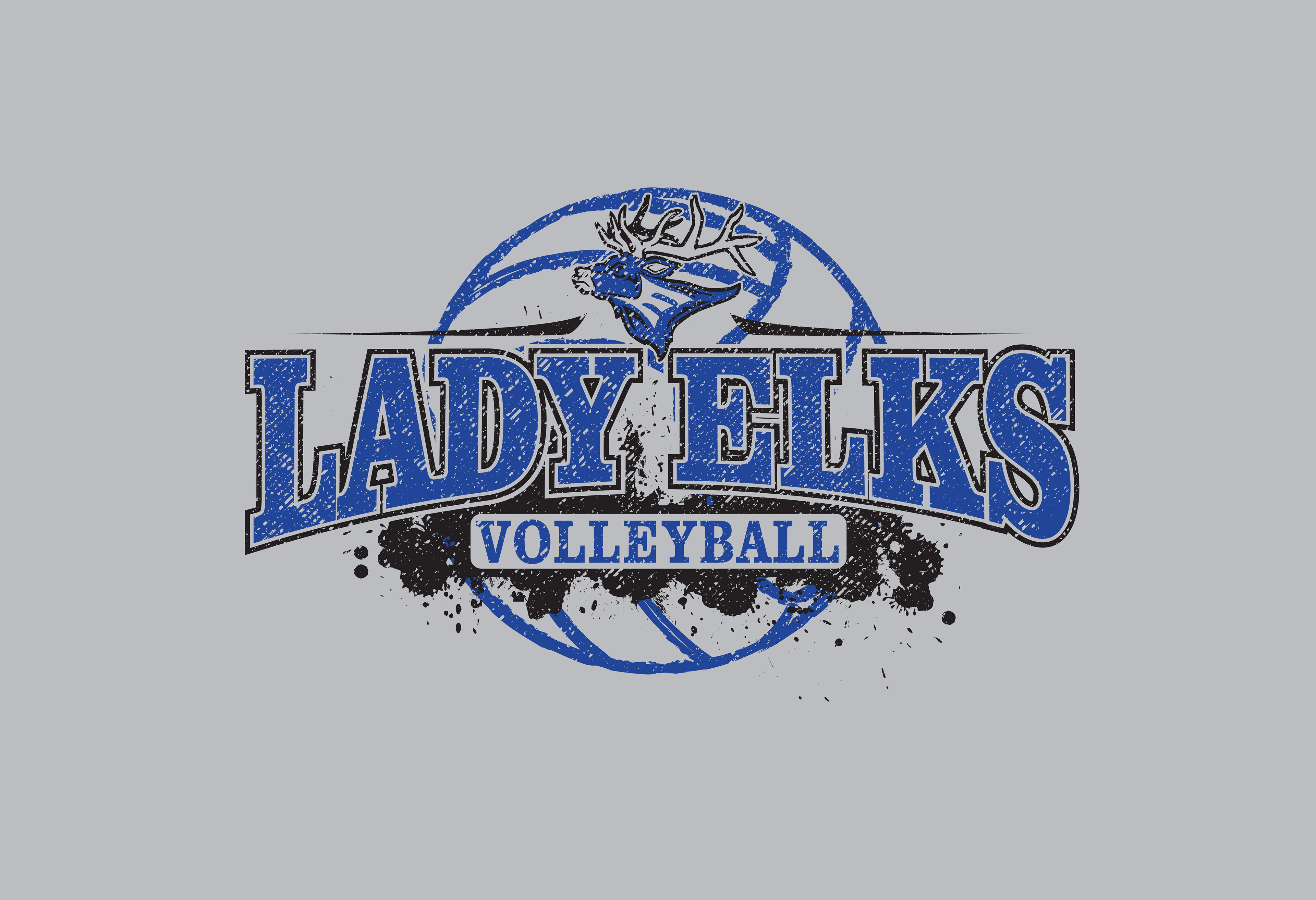VOLLEY_031