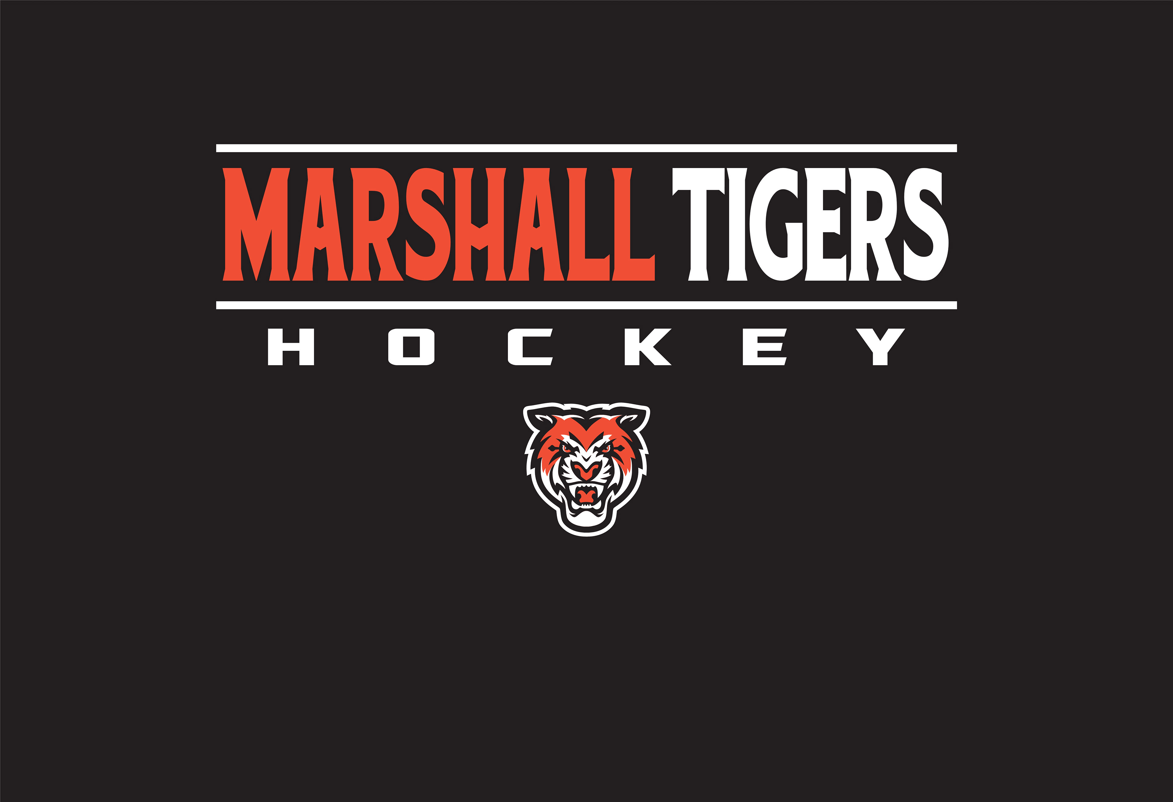 HOCKEY_042
