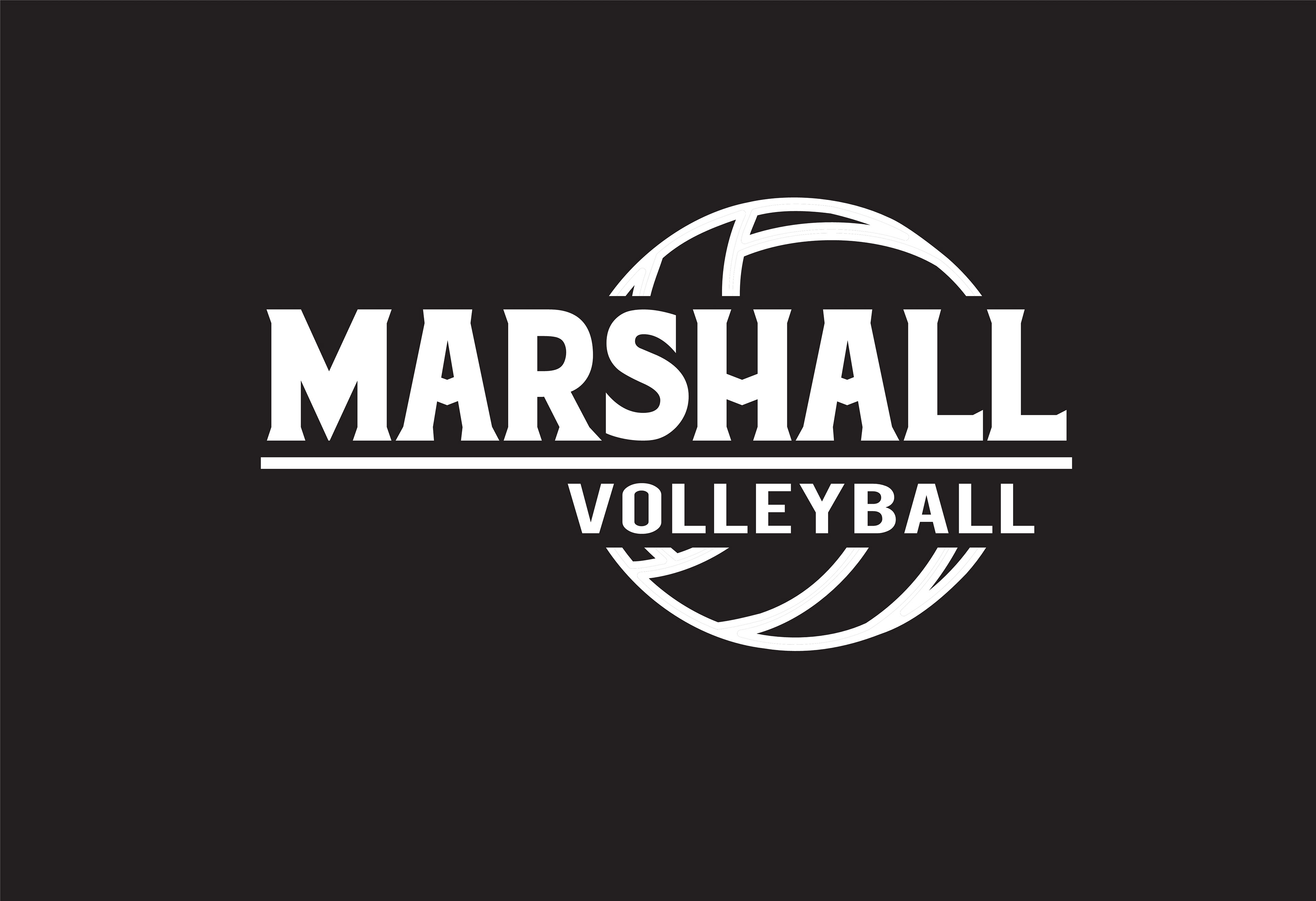VOLLEY_205