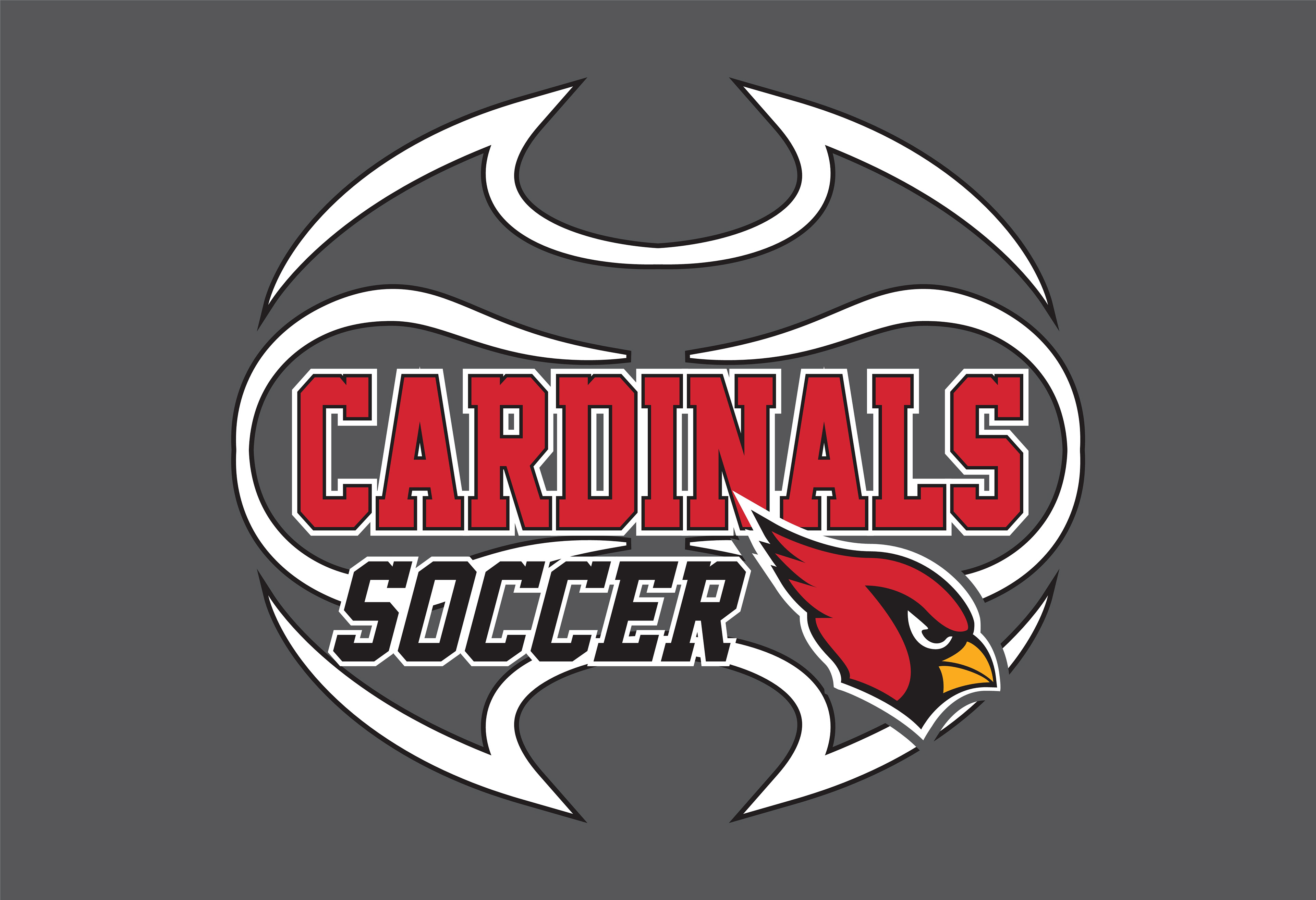 SOCCER_002