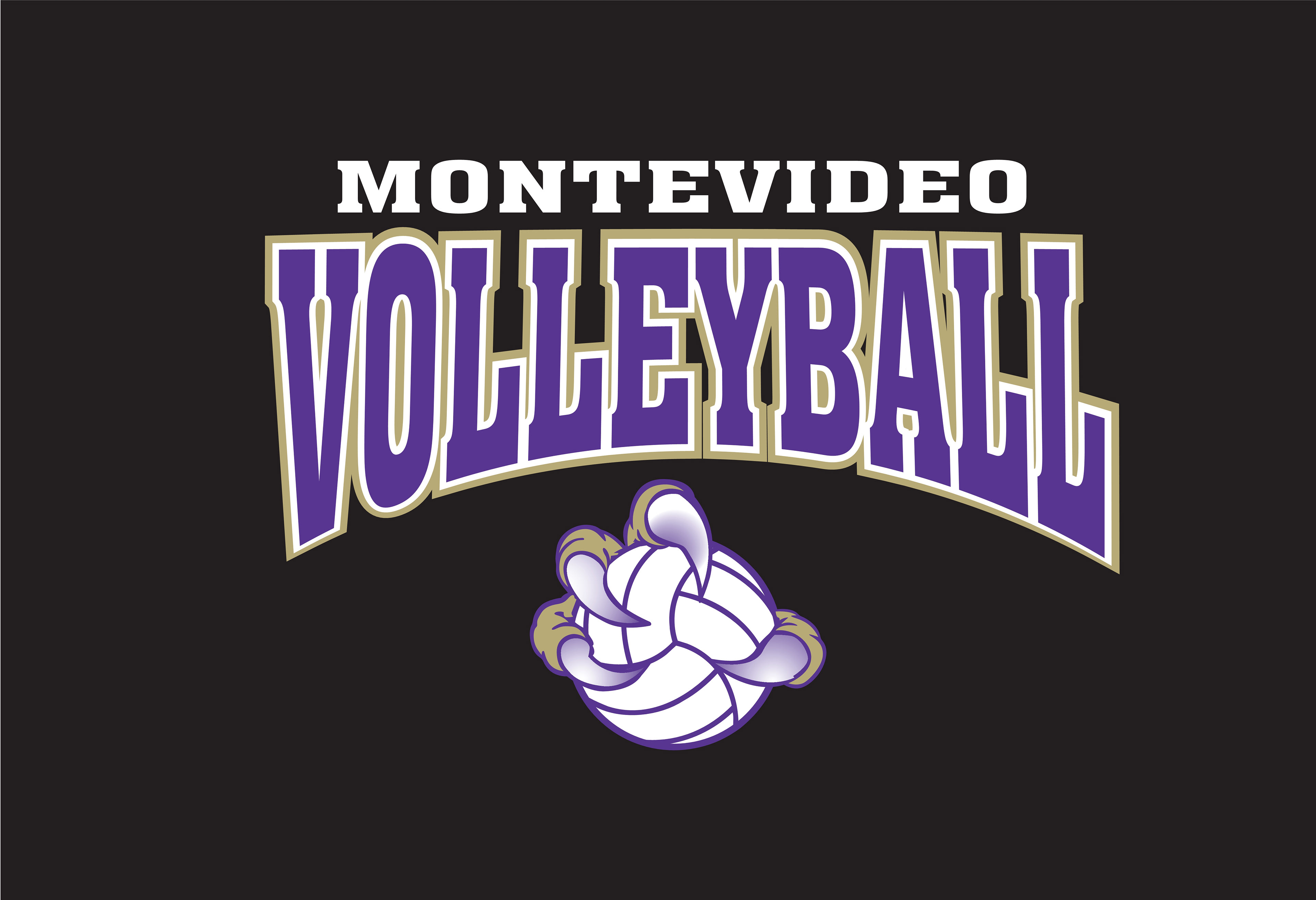 VOLLEY_141