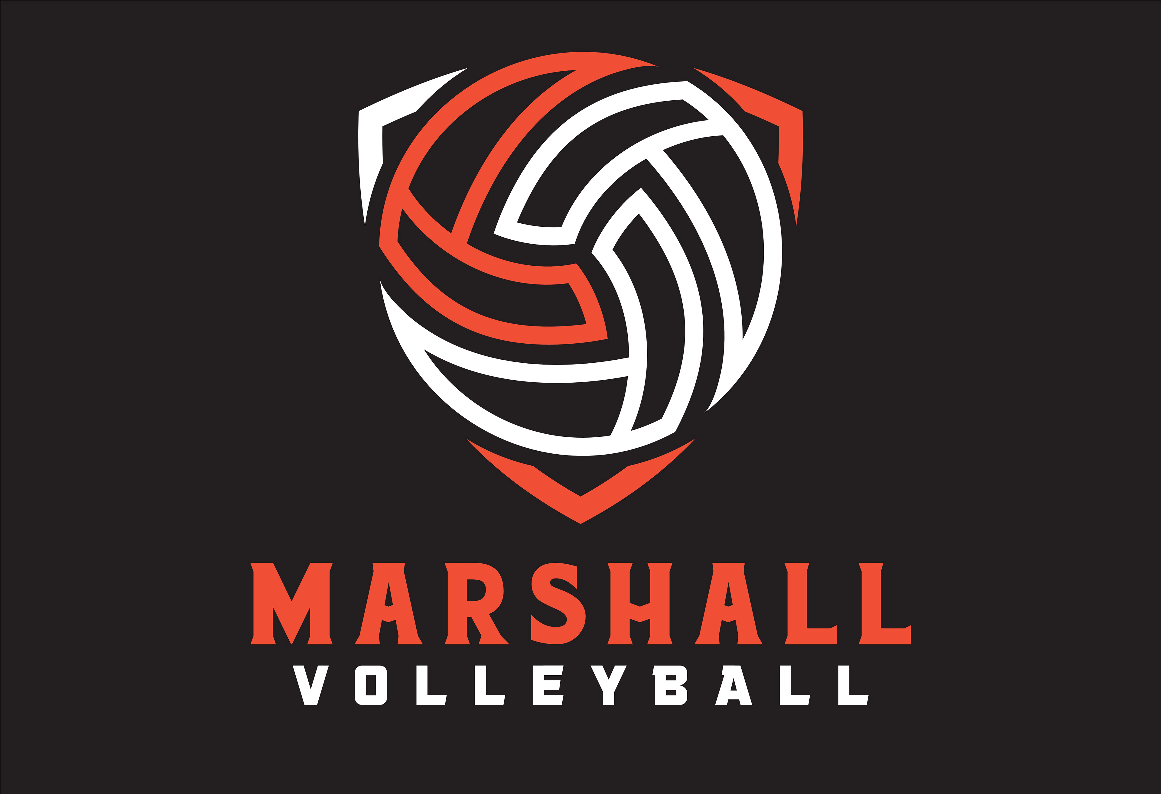 VOLLEY_208