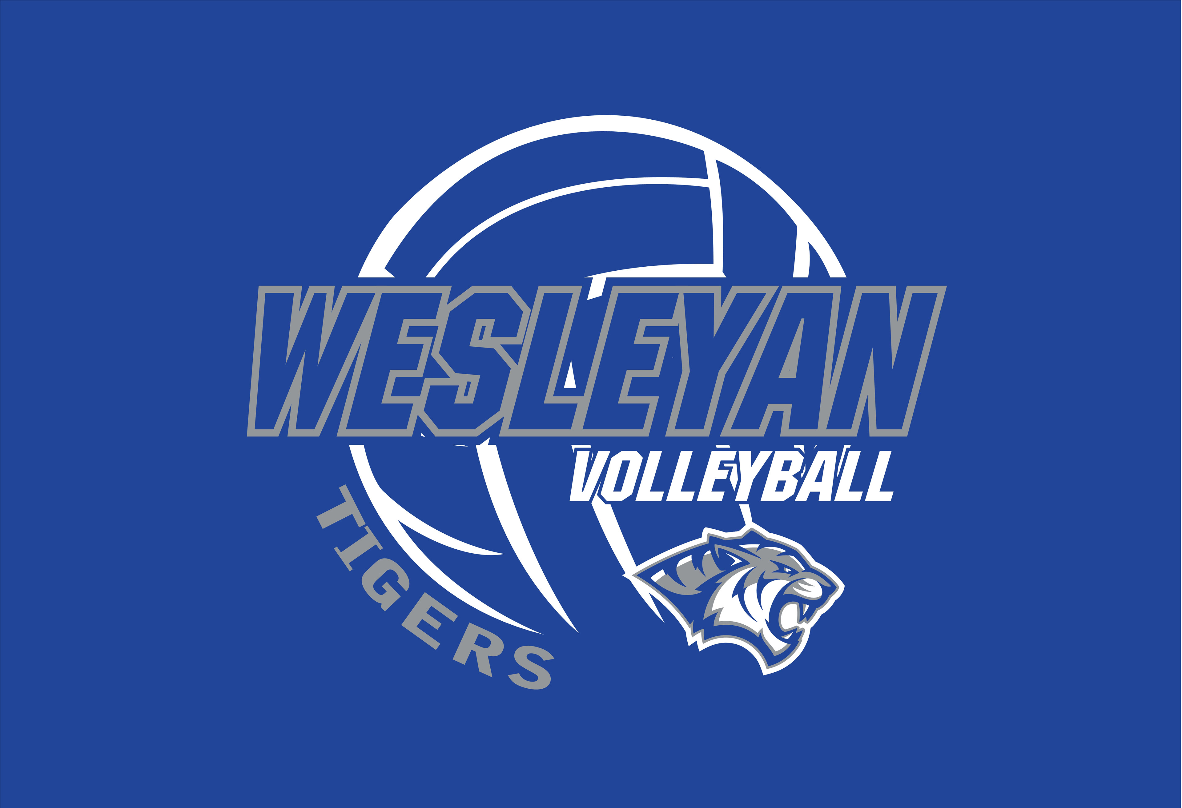 VOLLEY_118