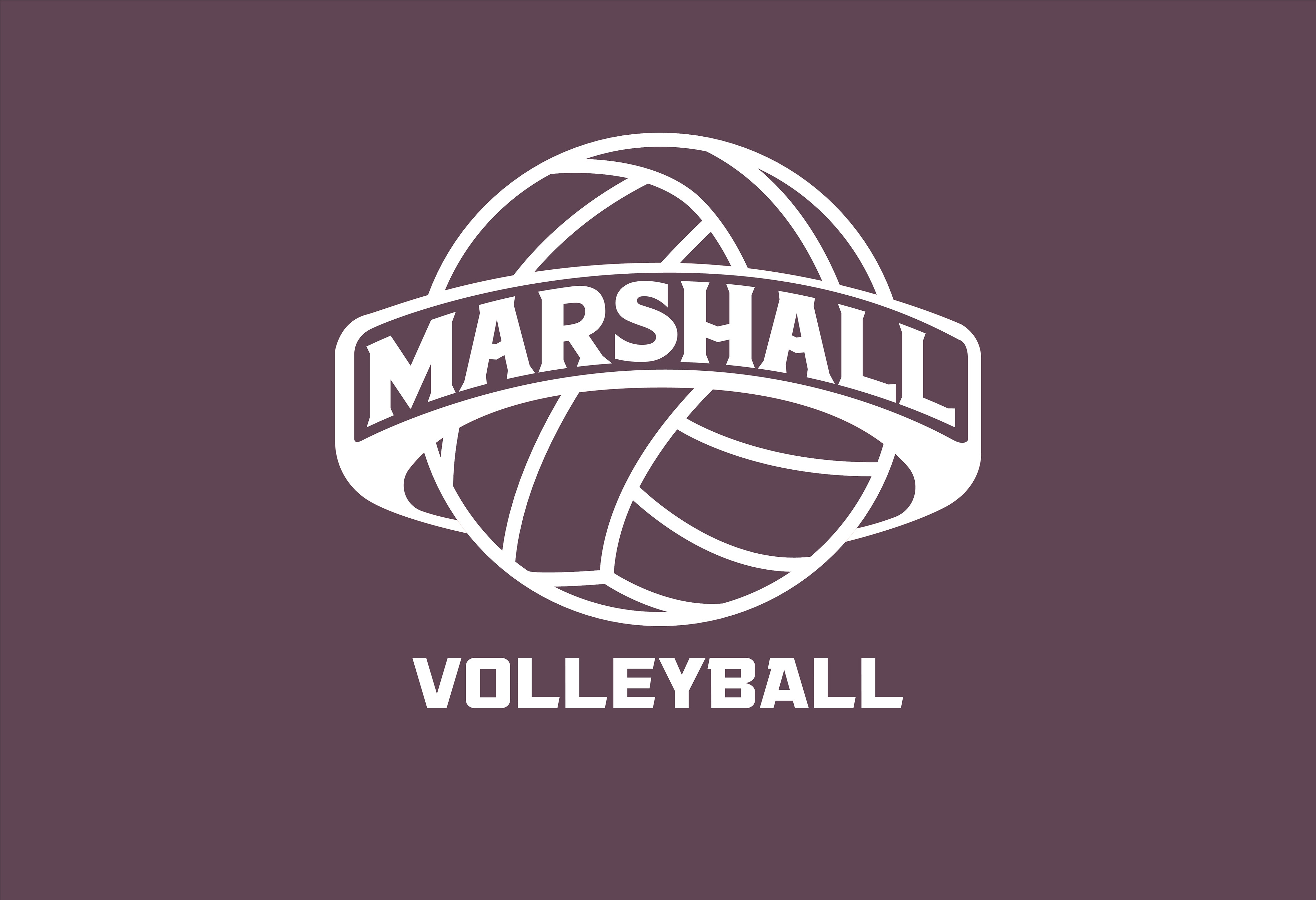 VOLLEY_016