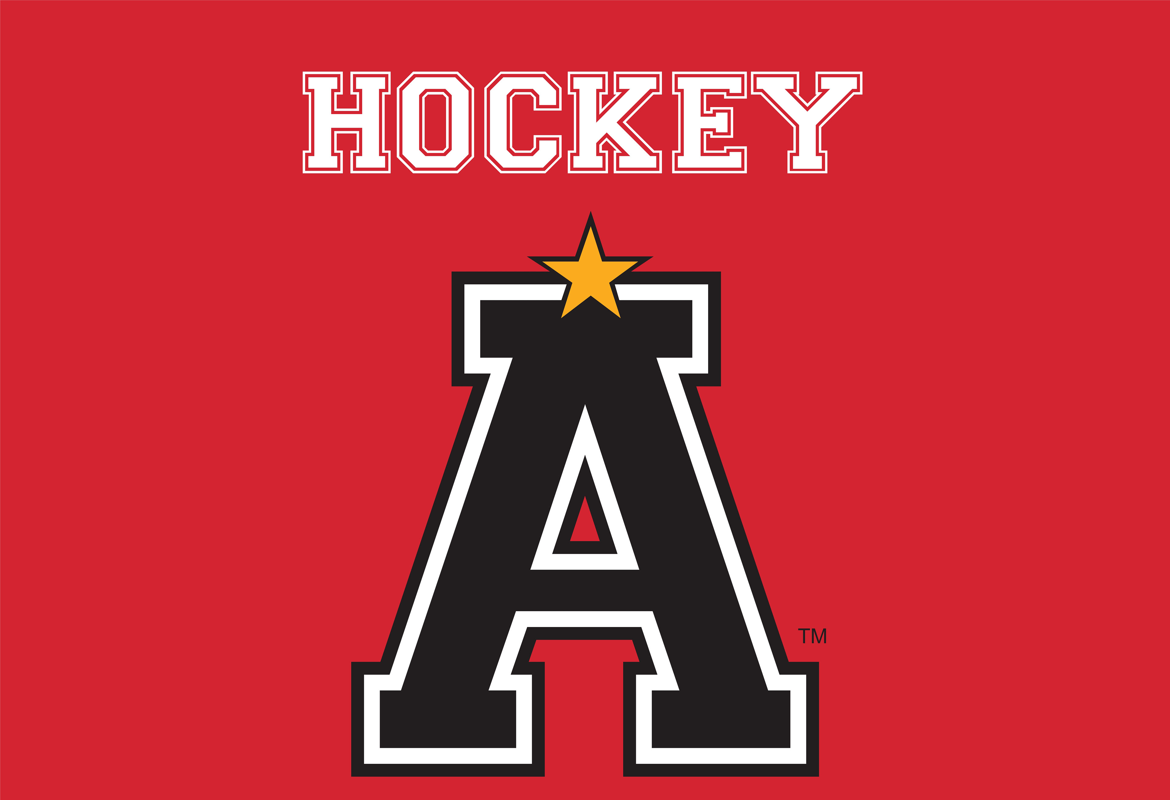 HOCKEY_012
