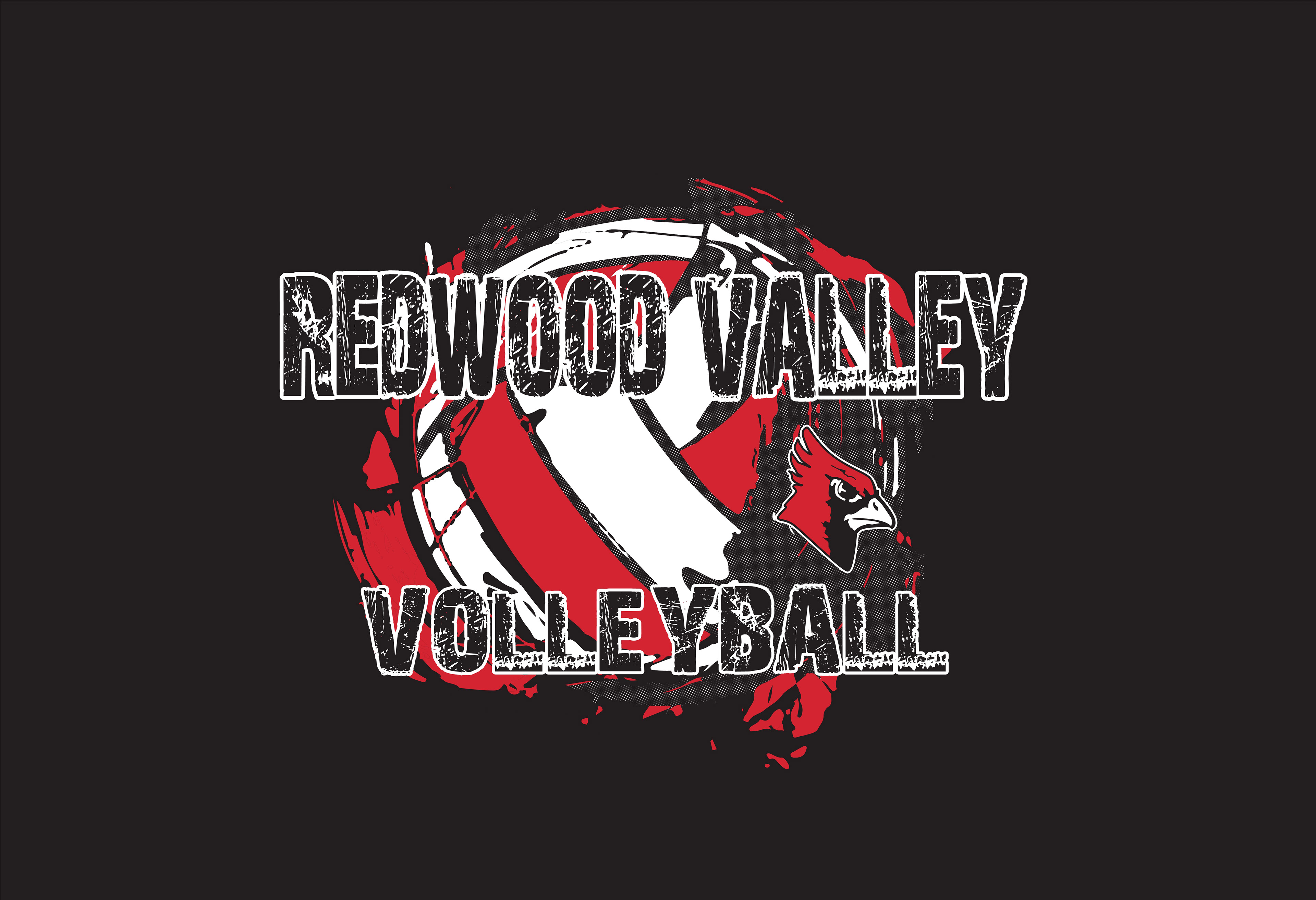 VOLLEY_113