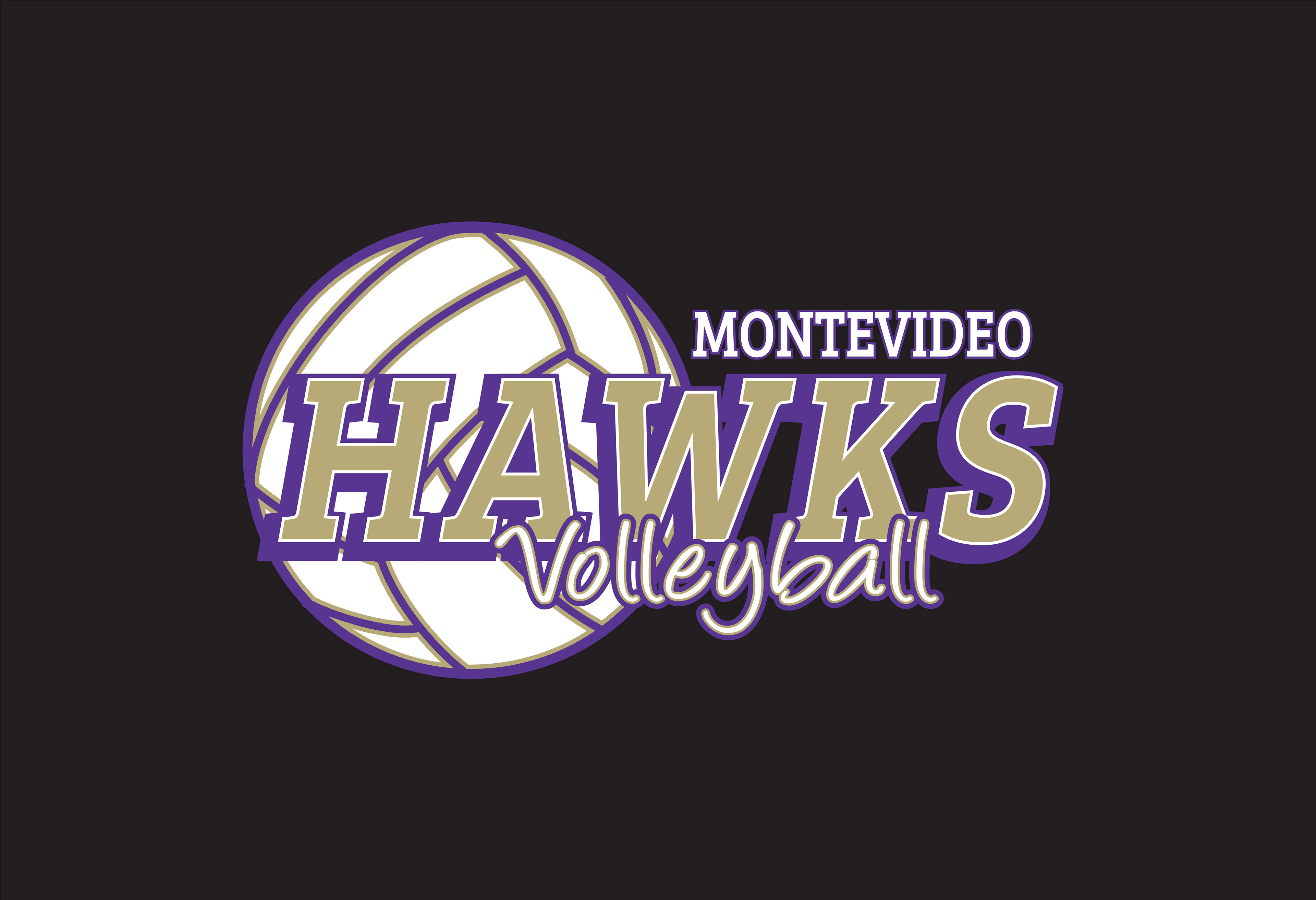 VOLLEY_140