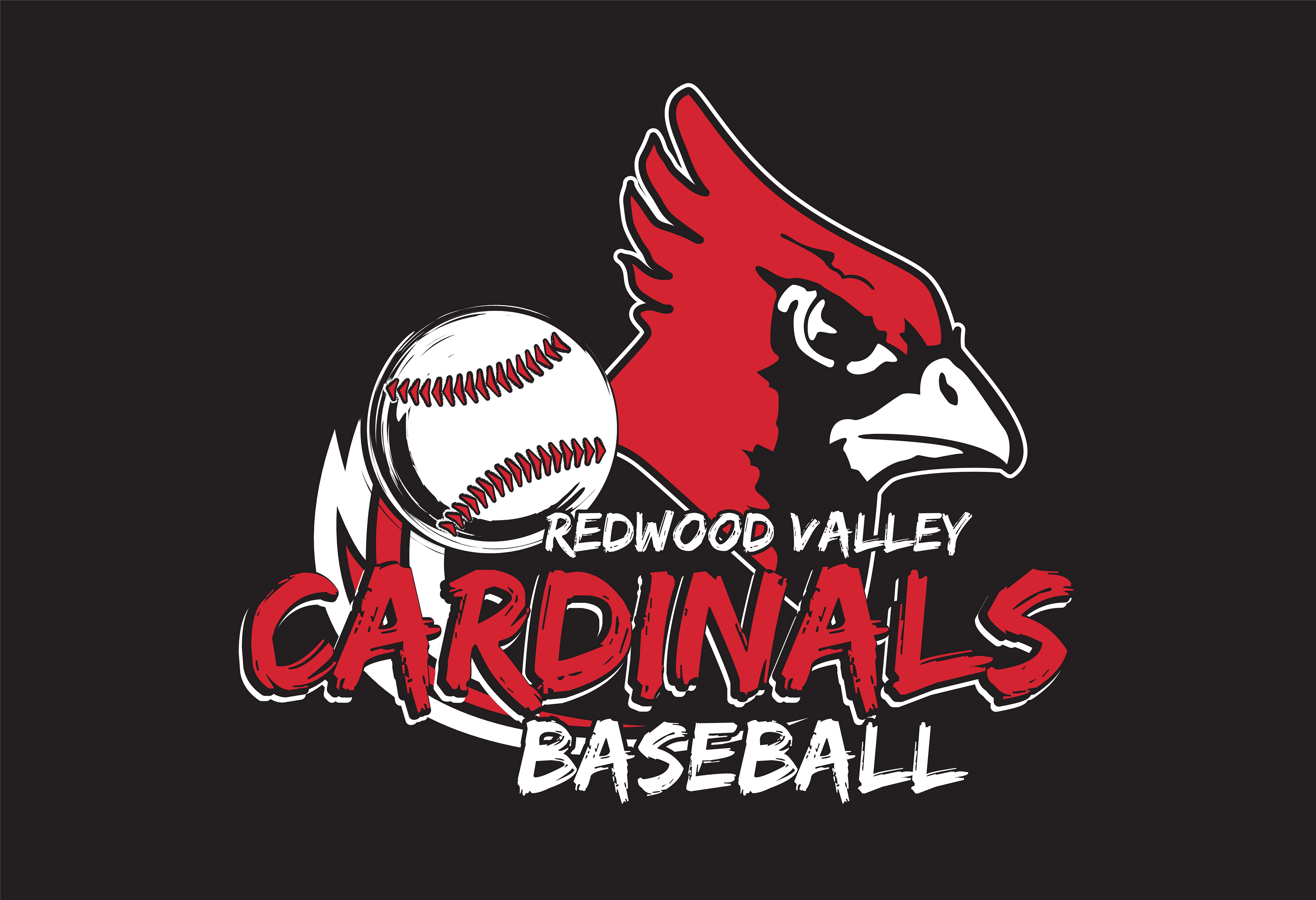 BASEBALL_010