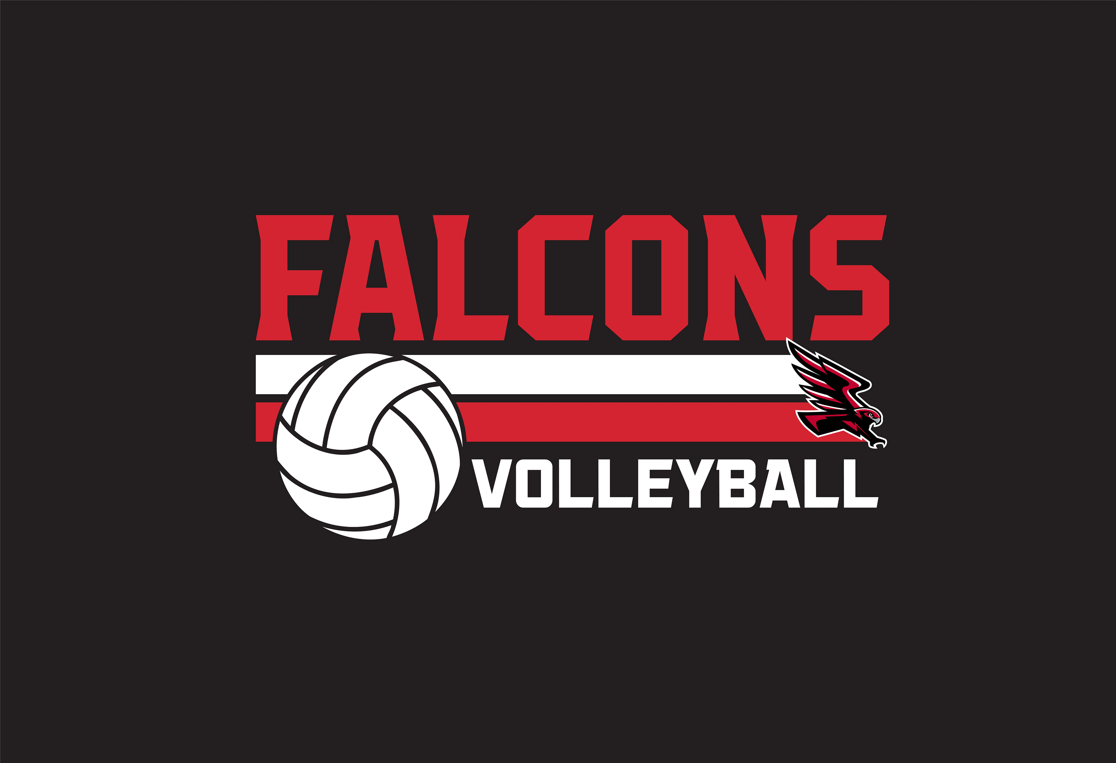 VOLLEY_165