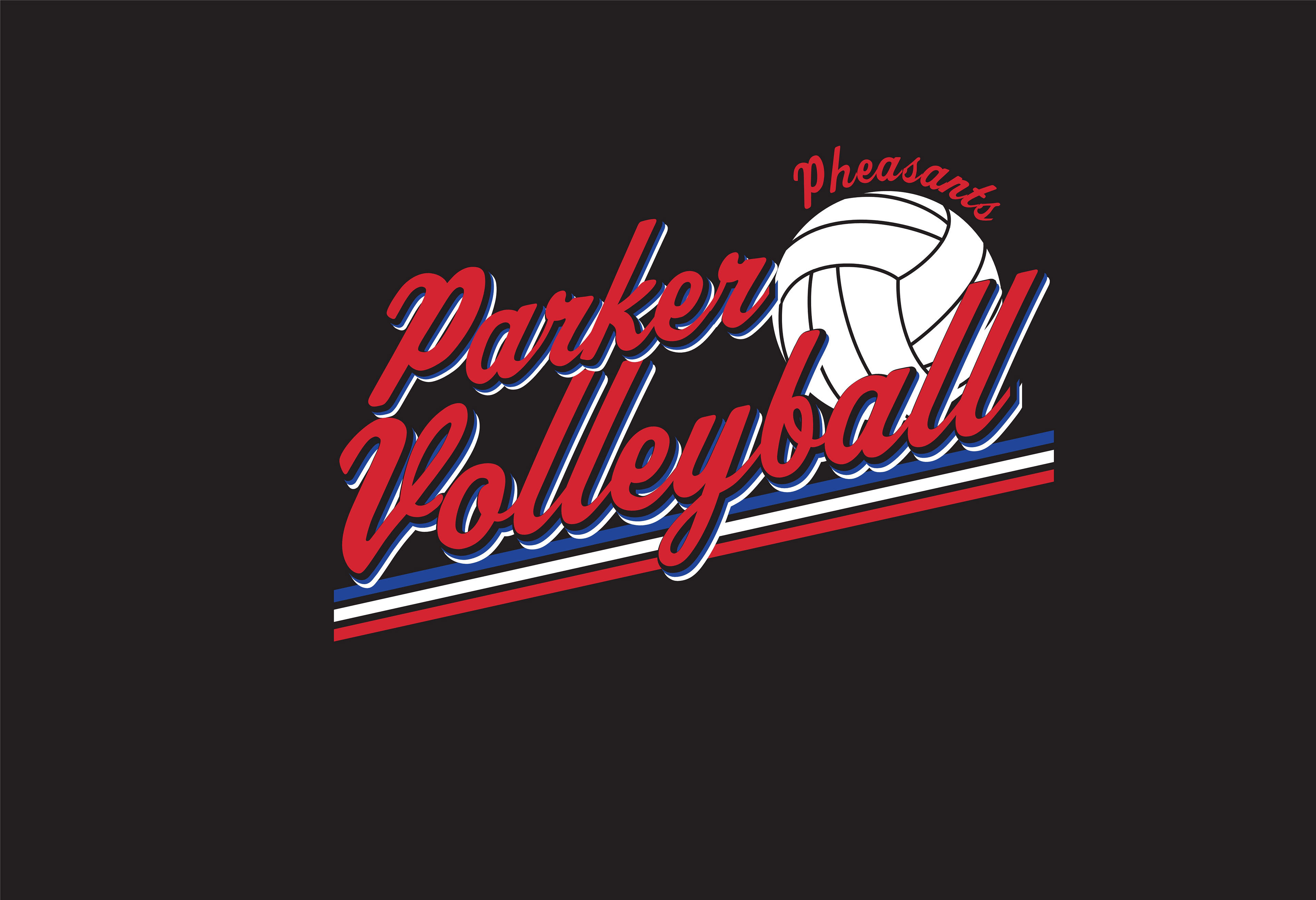 VOLLEY_163
