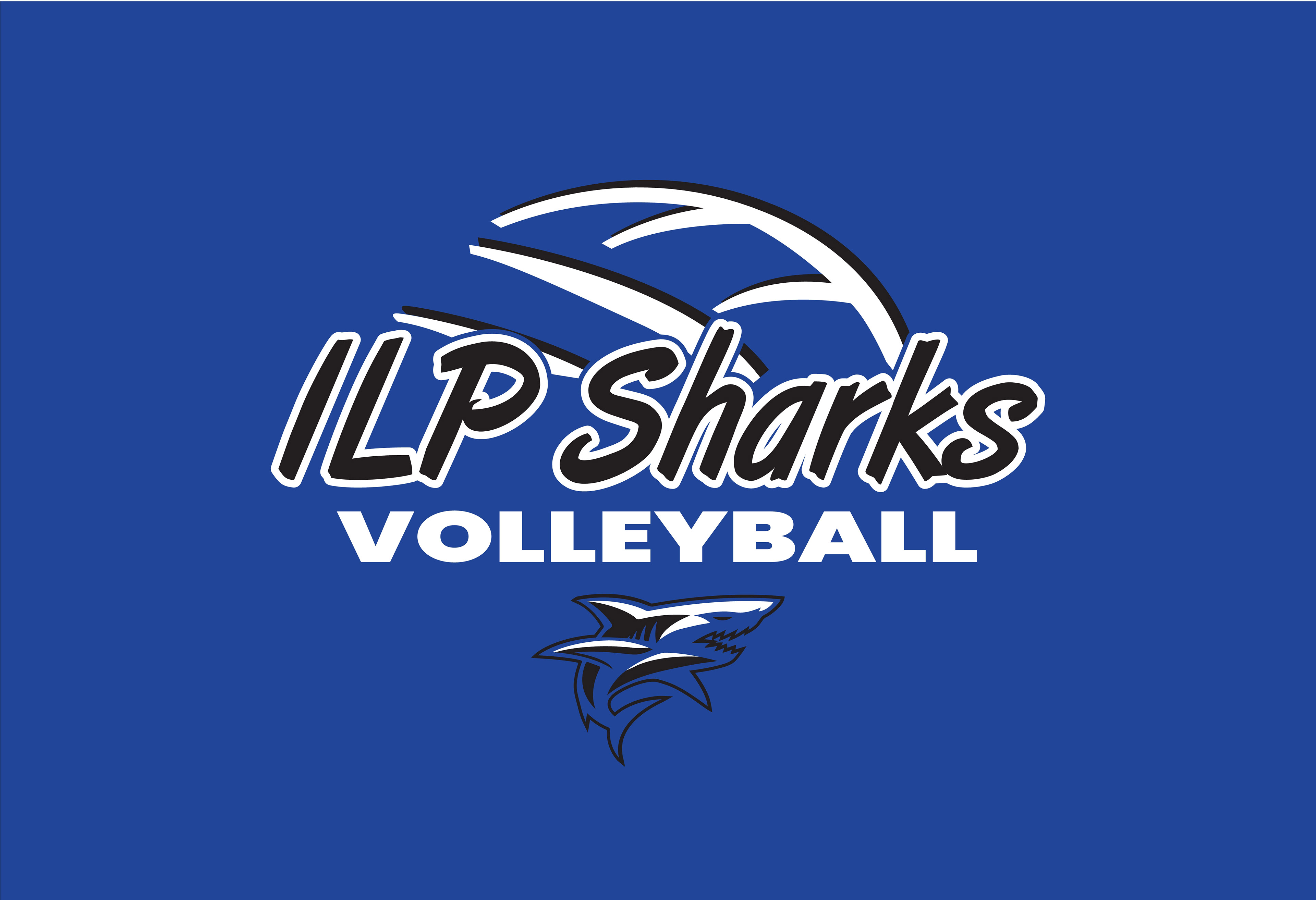 VOLLEY_134