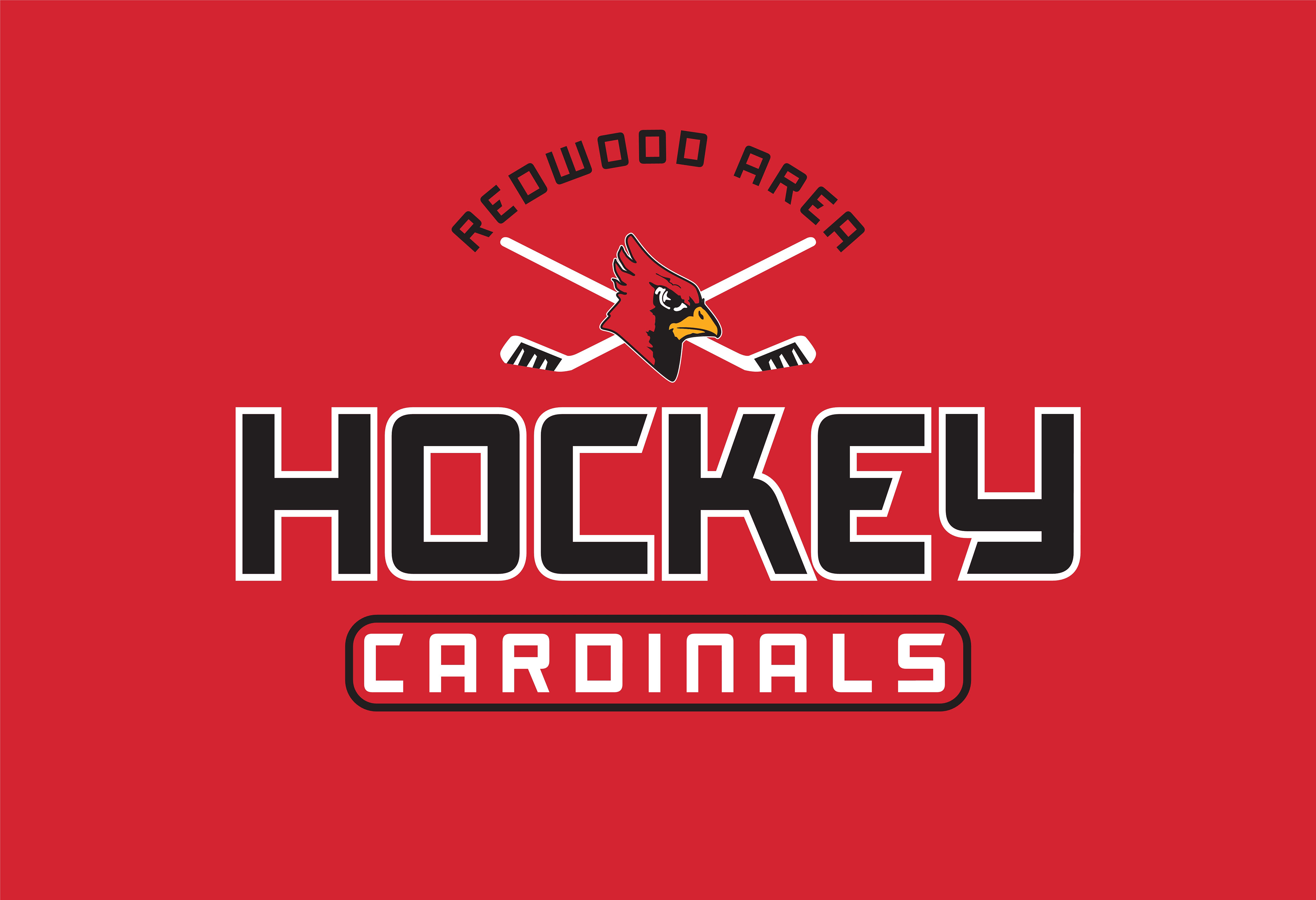 HOCKEY_046
