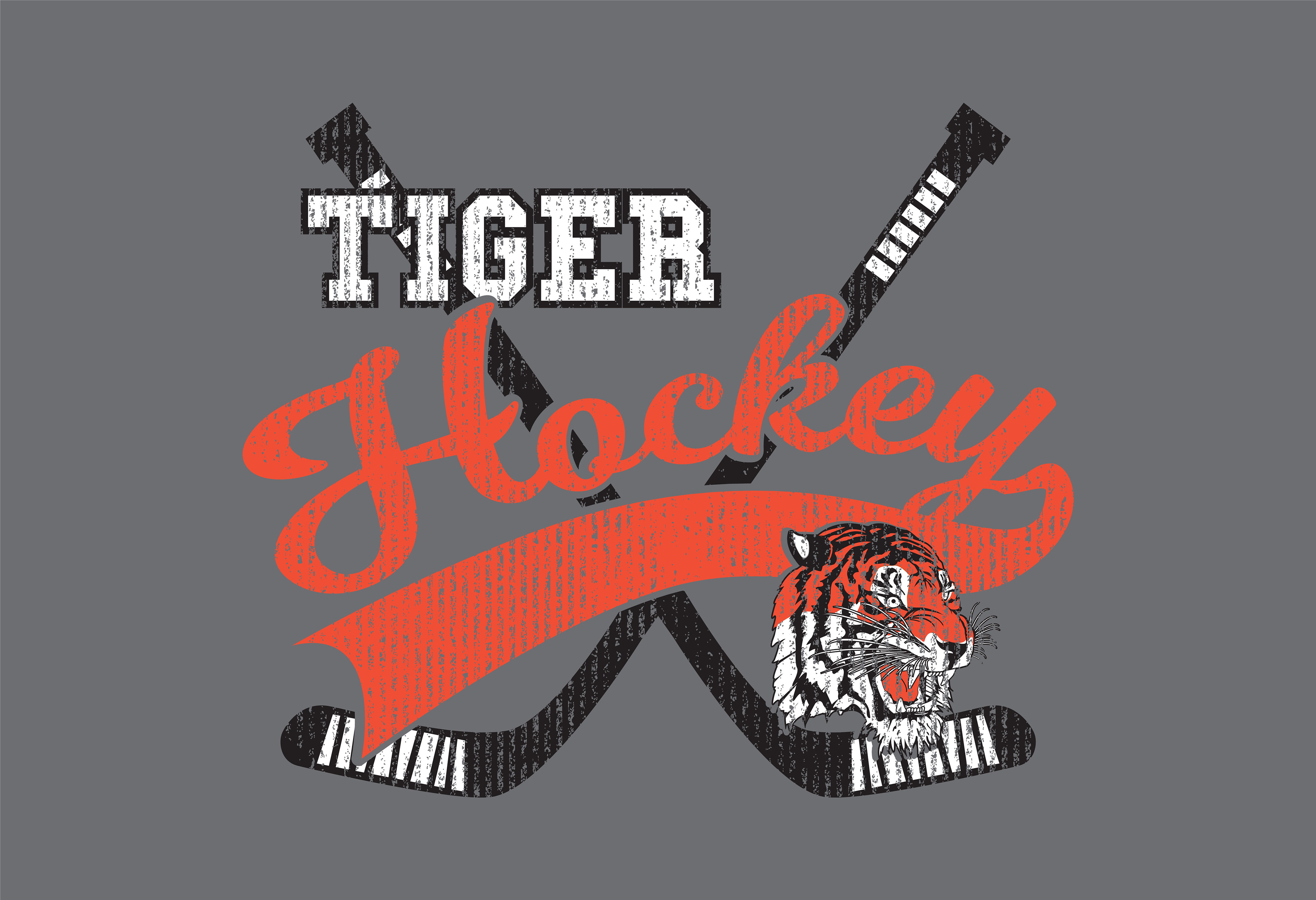 HOCKEY_029
